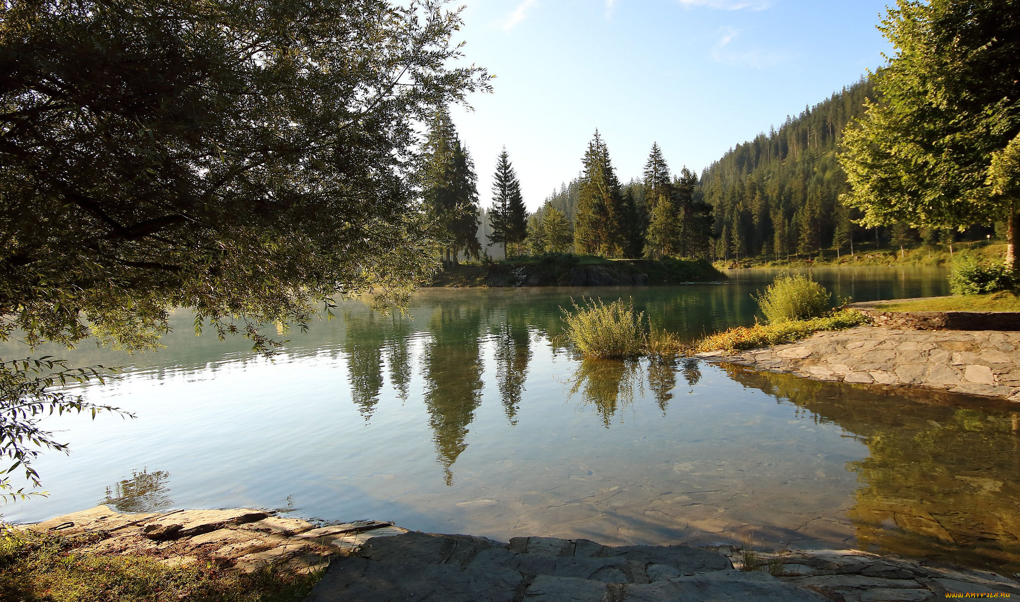 природа, реки, озера, река, лес