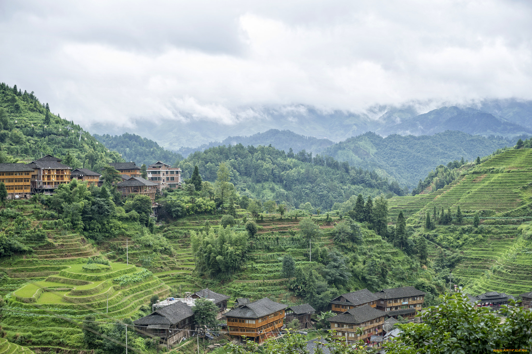 города, -, пейзажи, джунгли