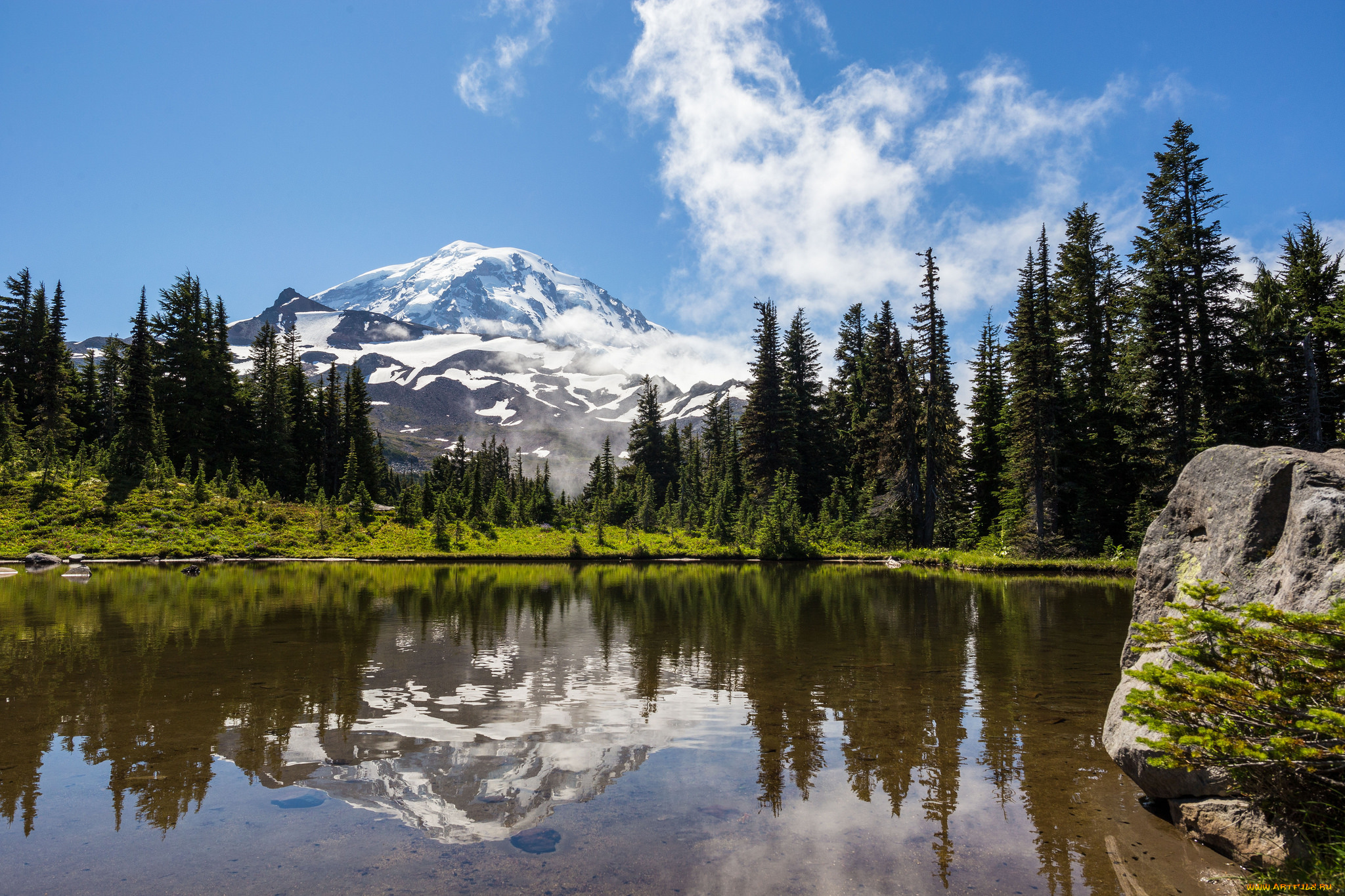 природа, реки, озера, река, лес