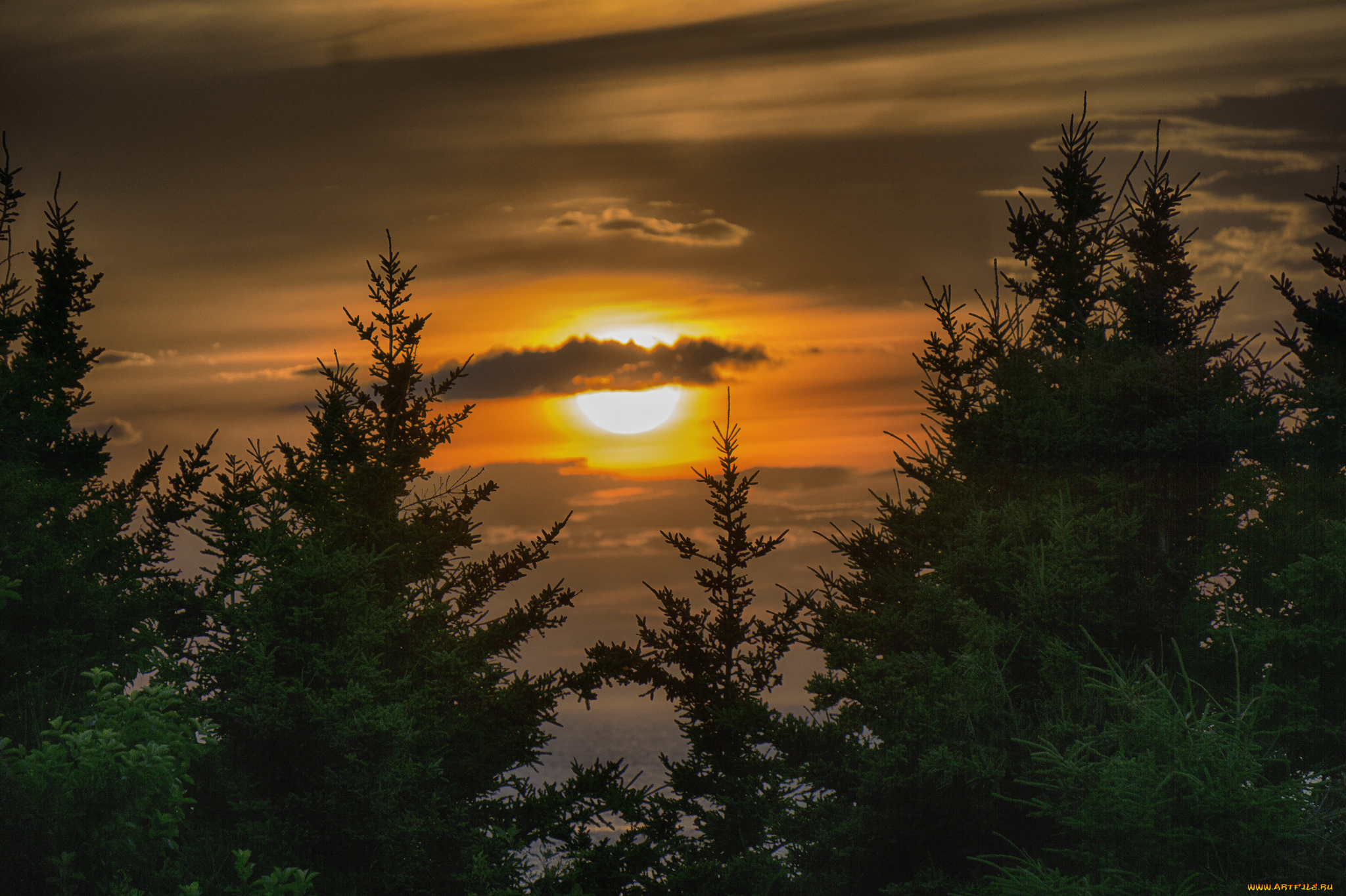 природа, восходы, закаты, рассвет