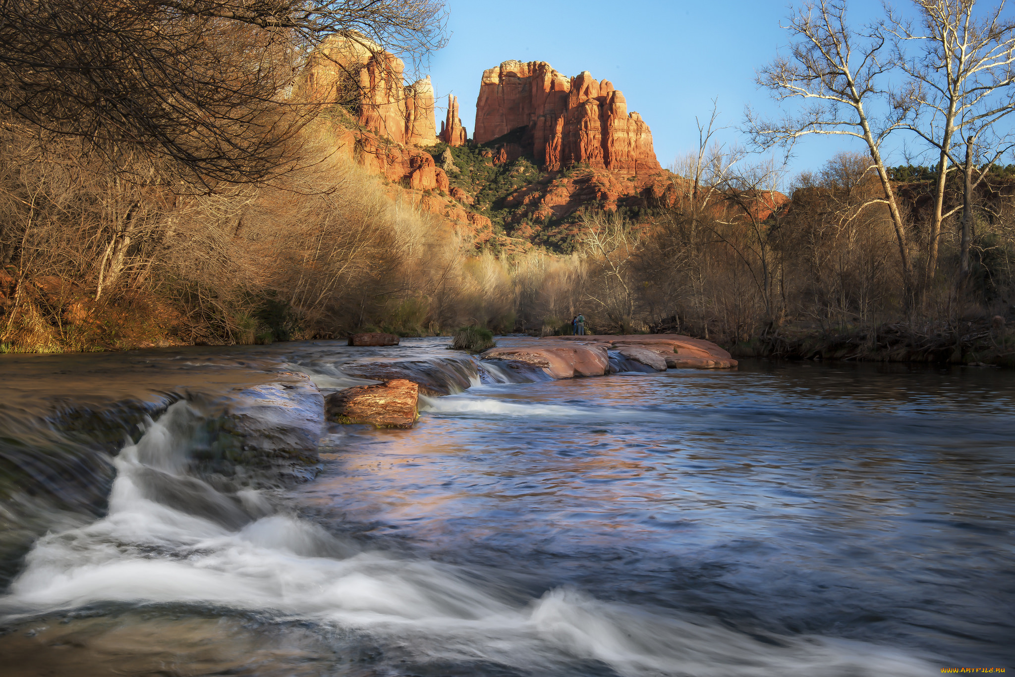 природа, реки, озера, река, лес