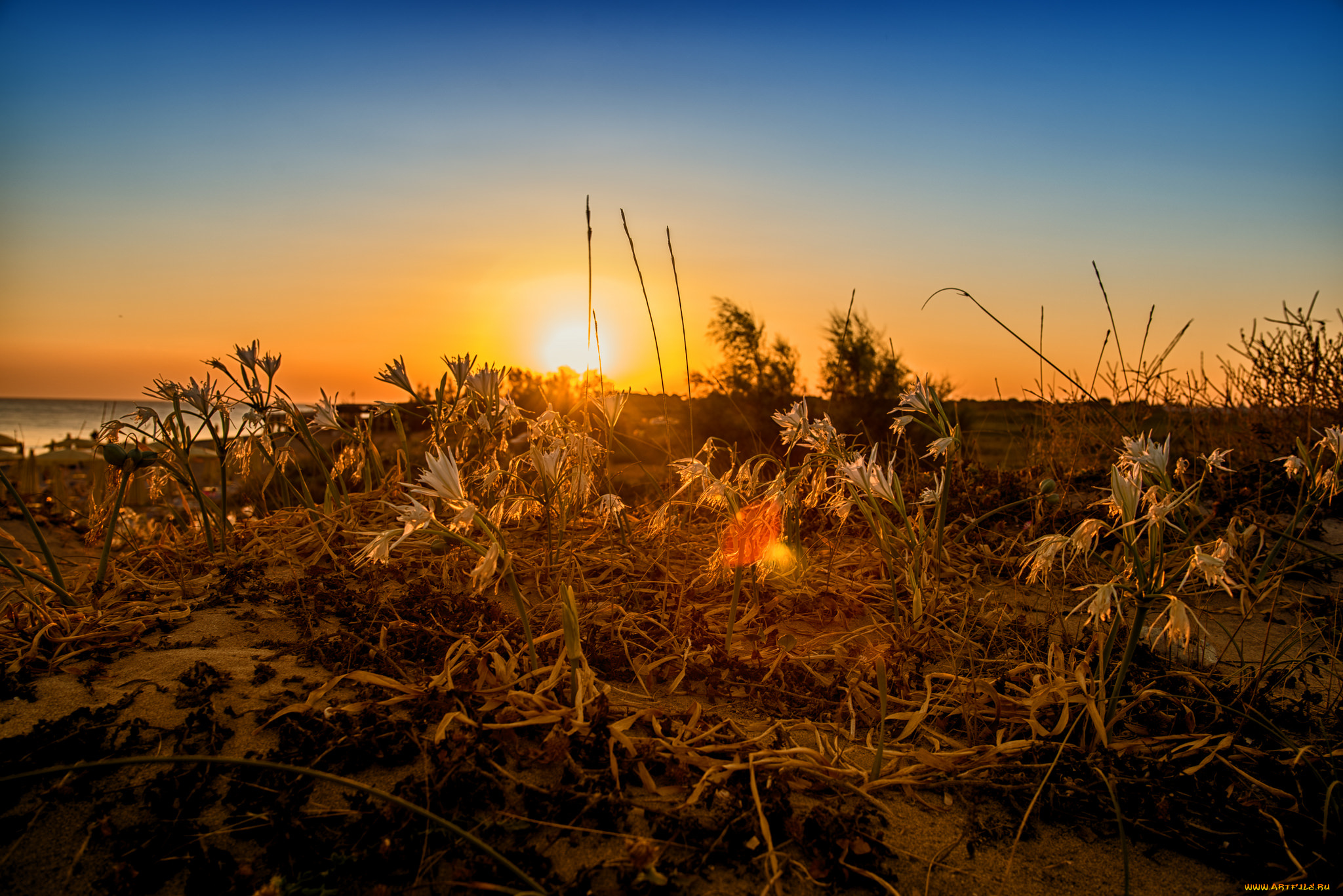 природа, восходы, закаты, рассвет
