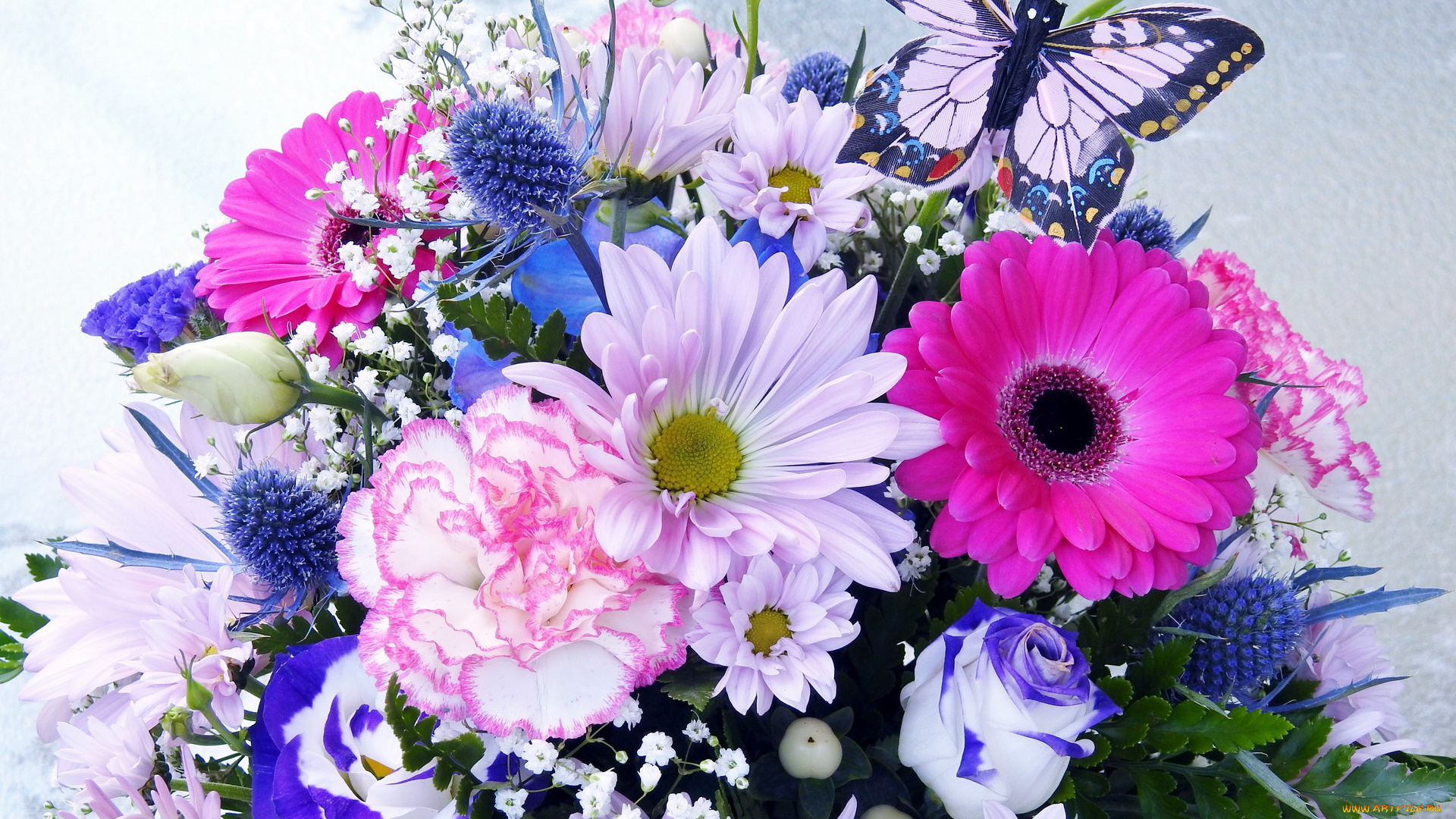 цветы, букеты, , композиции, гвоздика, эустома, герберы, бабочка