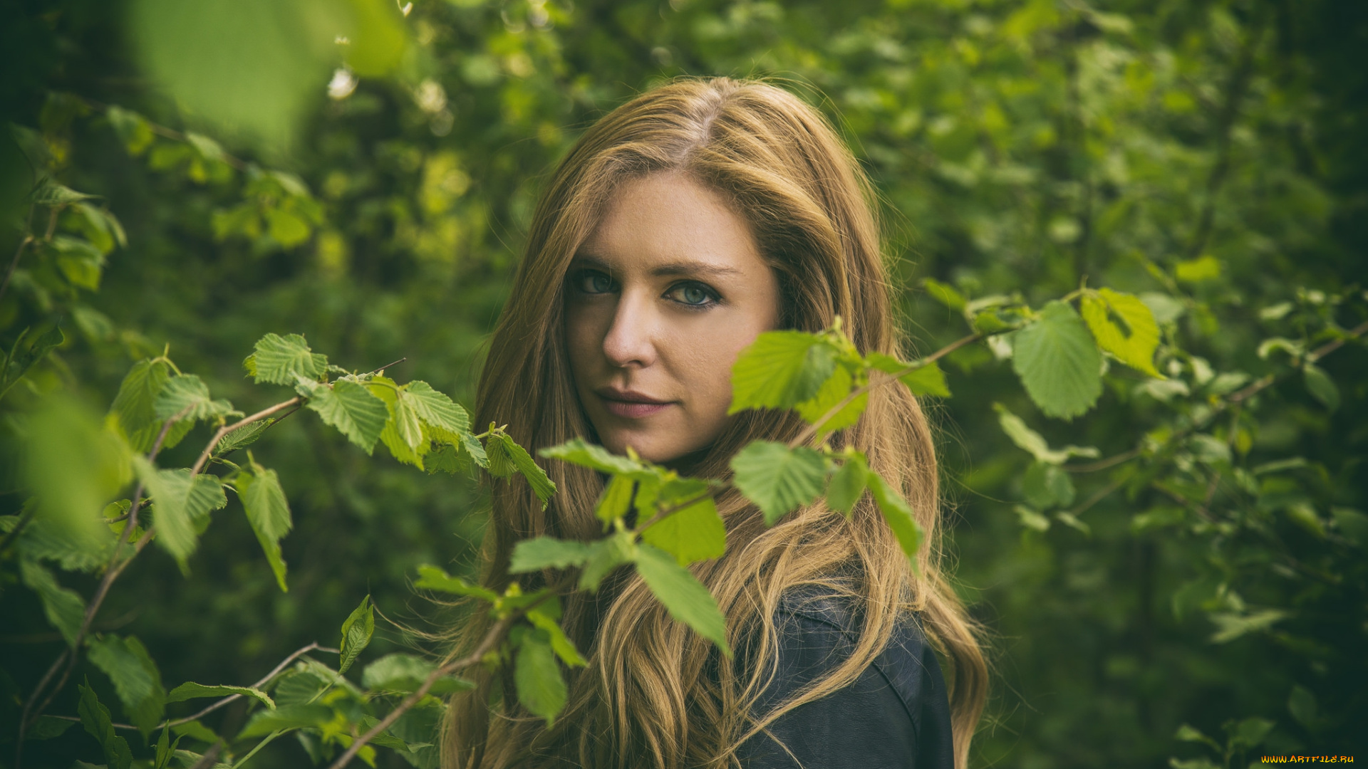 девушки, -unsort, , блондинки, , светловолосые, взгляд, лицо