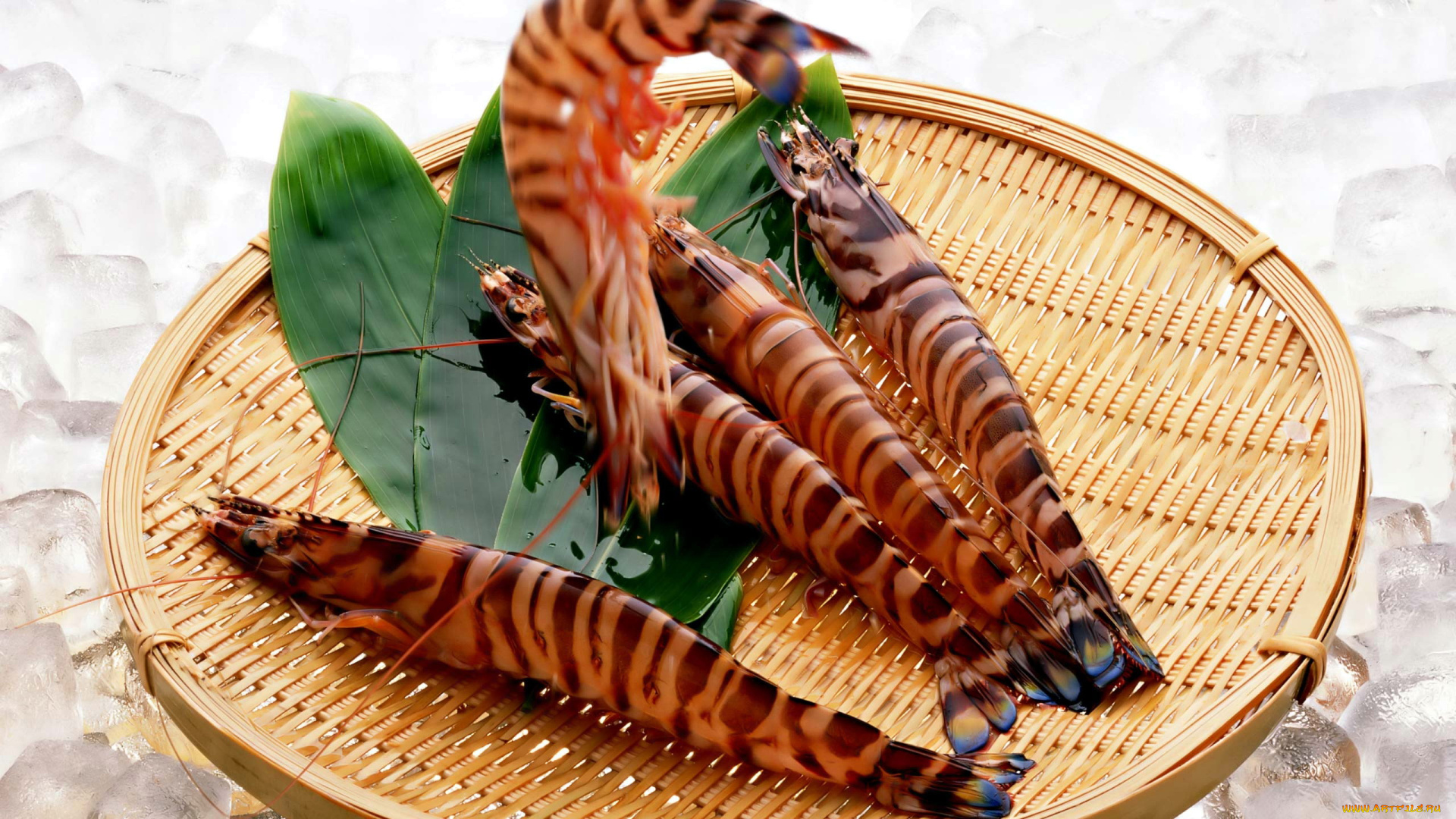 еда, рыба, , морепродукты, , суши, , роллы, тигровые, креветки, tiger, prawns