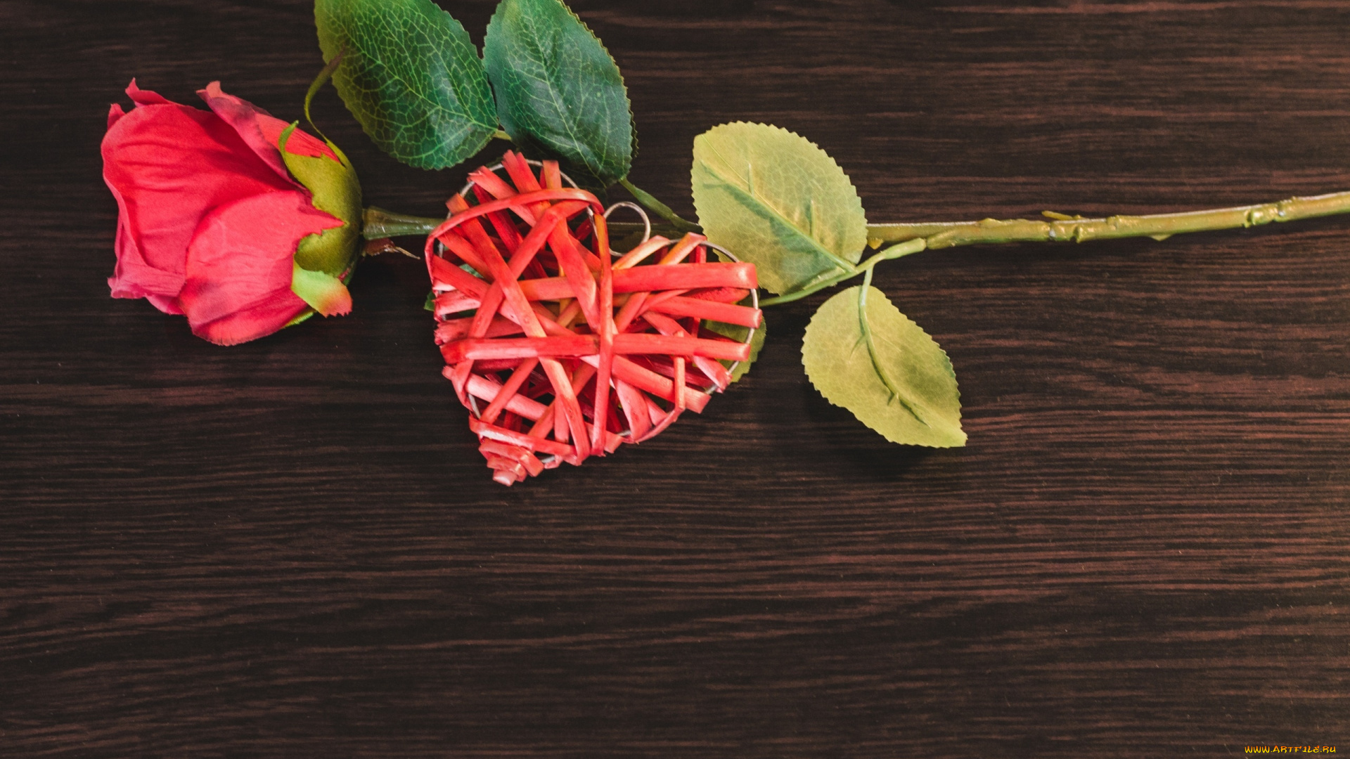 праздничные, день, святого, валентина, , сердечки, , любовь, сердце, роза, цветок, почки