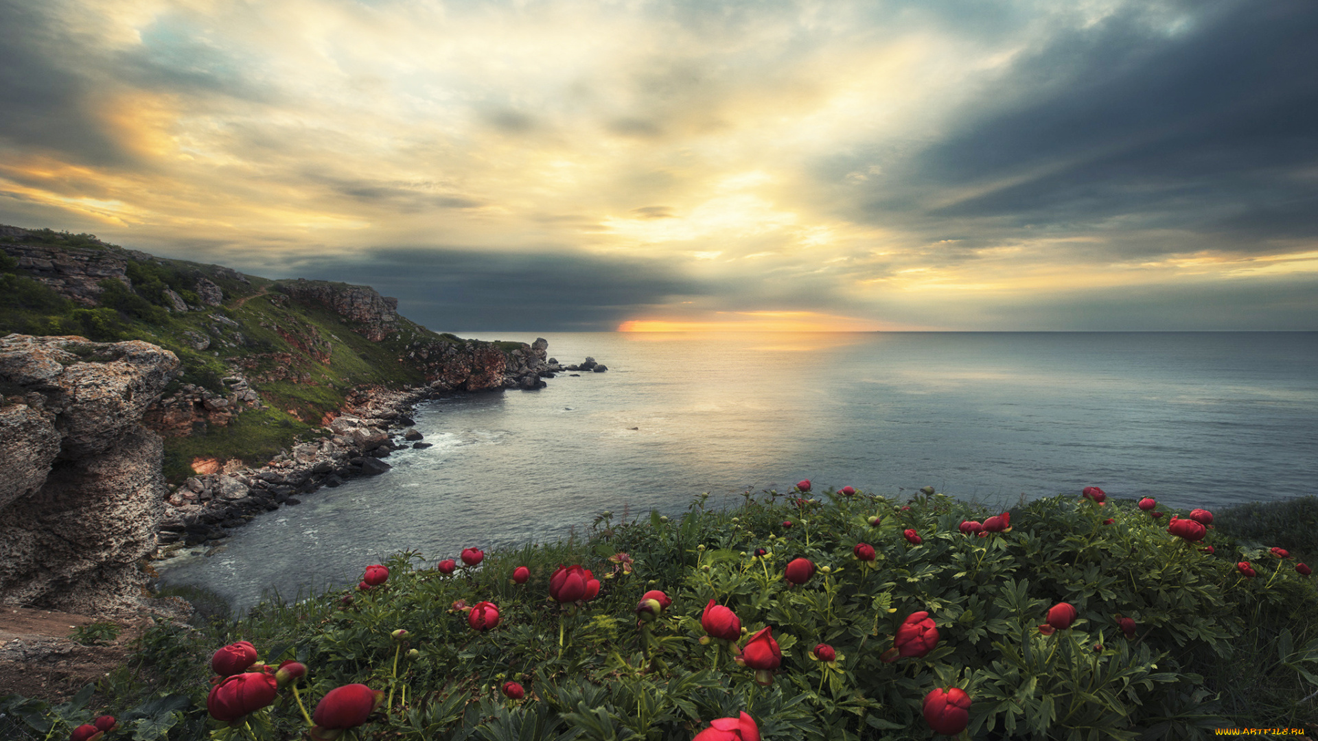природа, моря, океаны, море, пейзаж, рассвет, пионы, скалы, цветы, болгария
