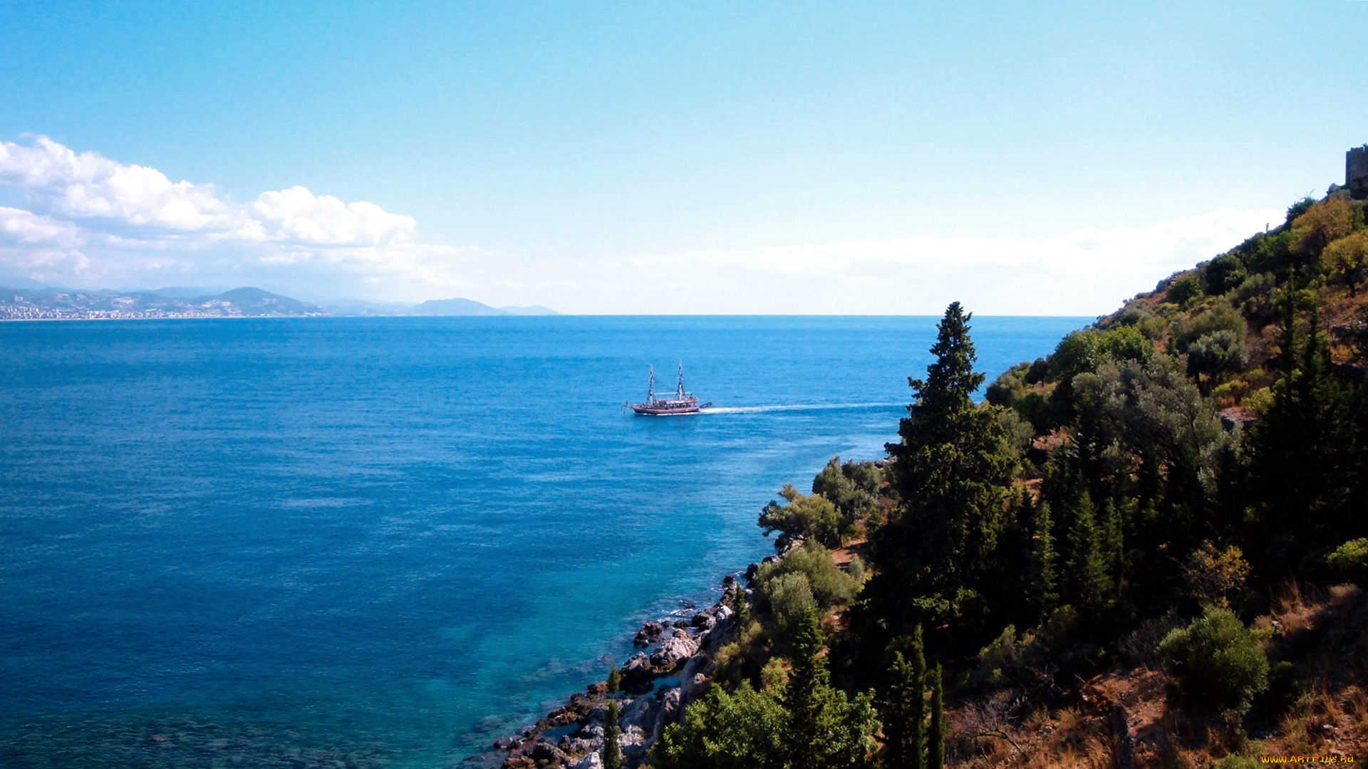 природа, побережье, деревья, камни, море