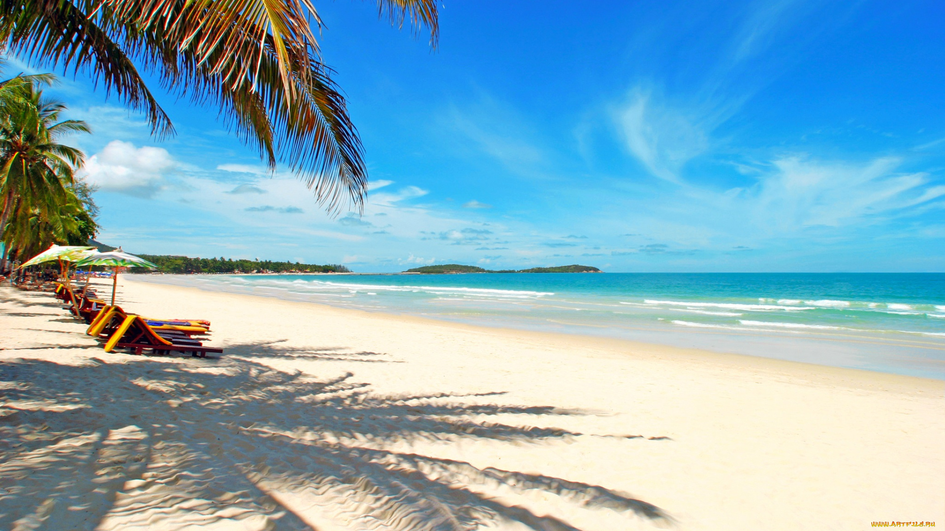природа, побережье, море, тропики, отдых, пальмы, пляж