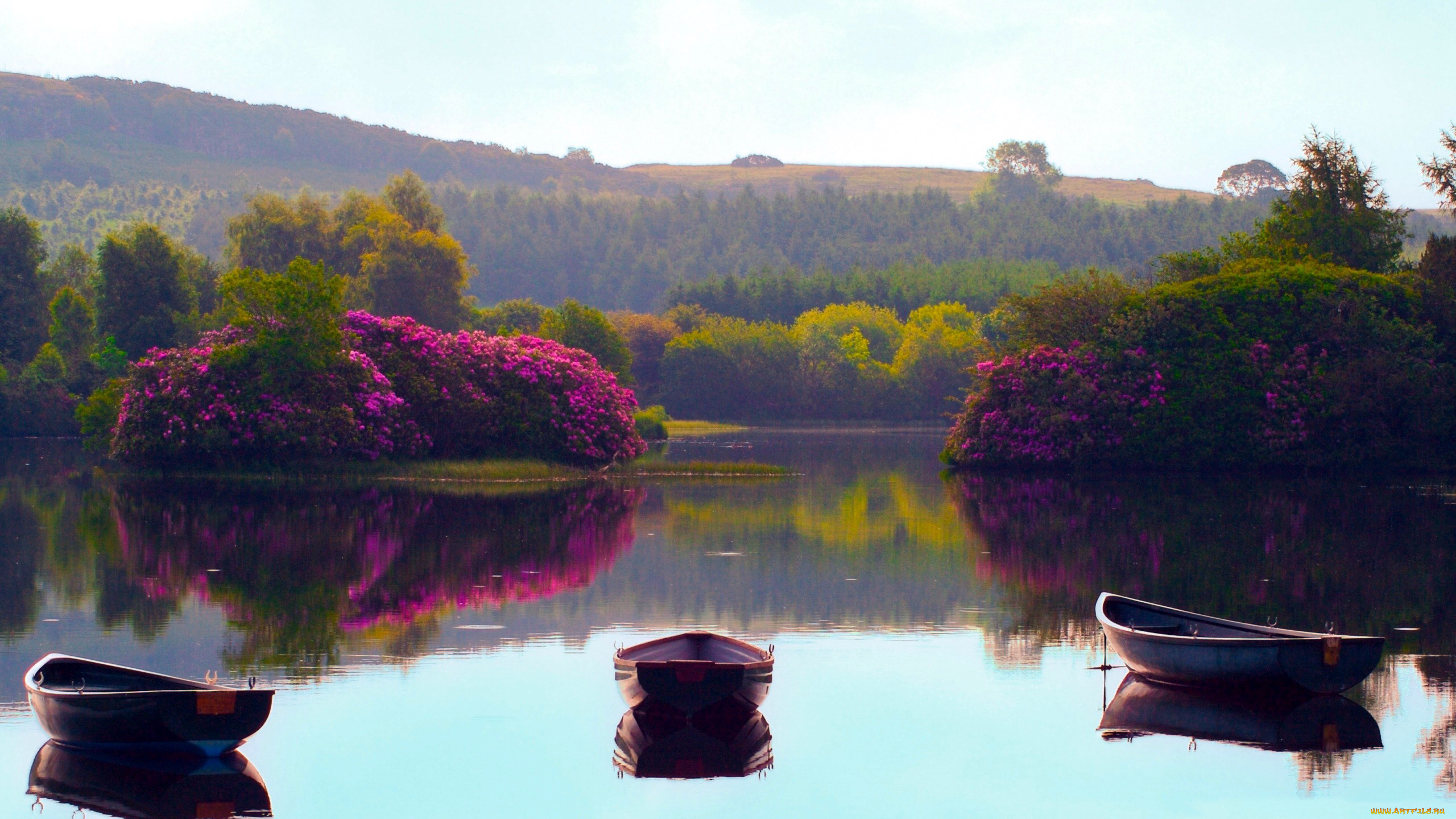 корабли, лодки, , шлюпки, цветы, кусты, река