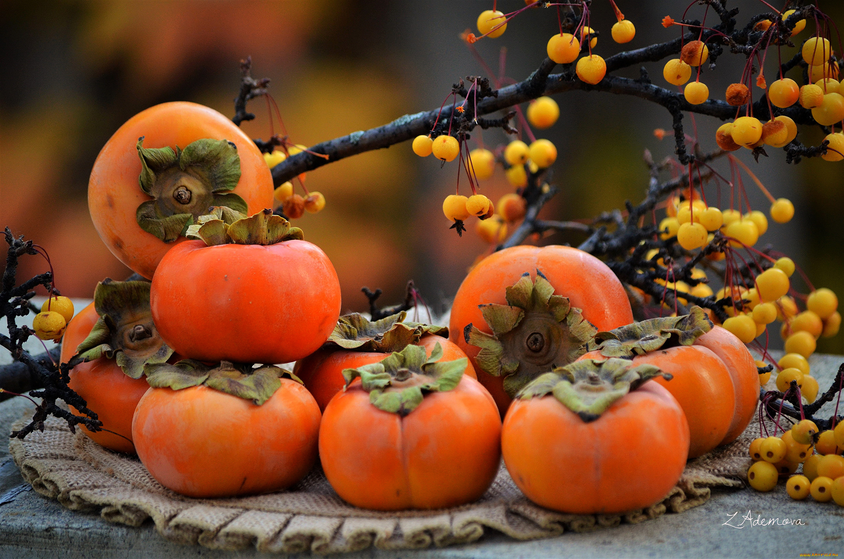 еда, хурма, салфетка, ягоды, ветки, фрукты, осень