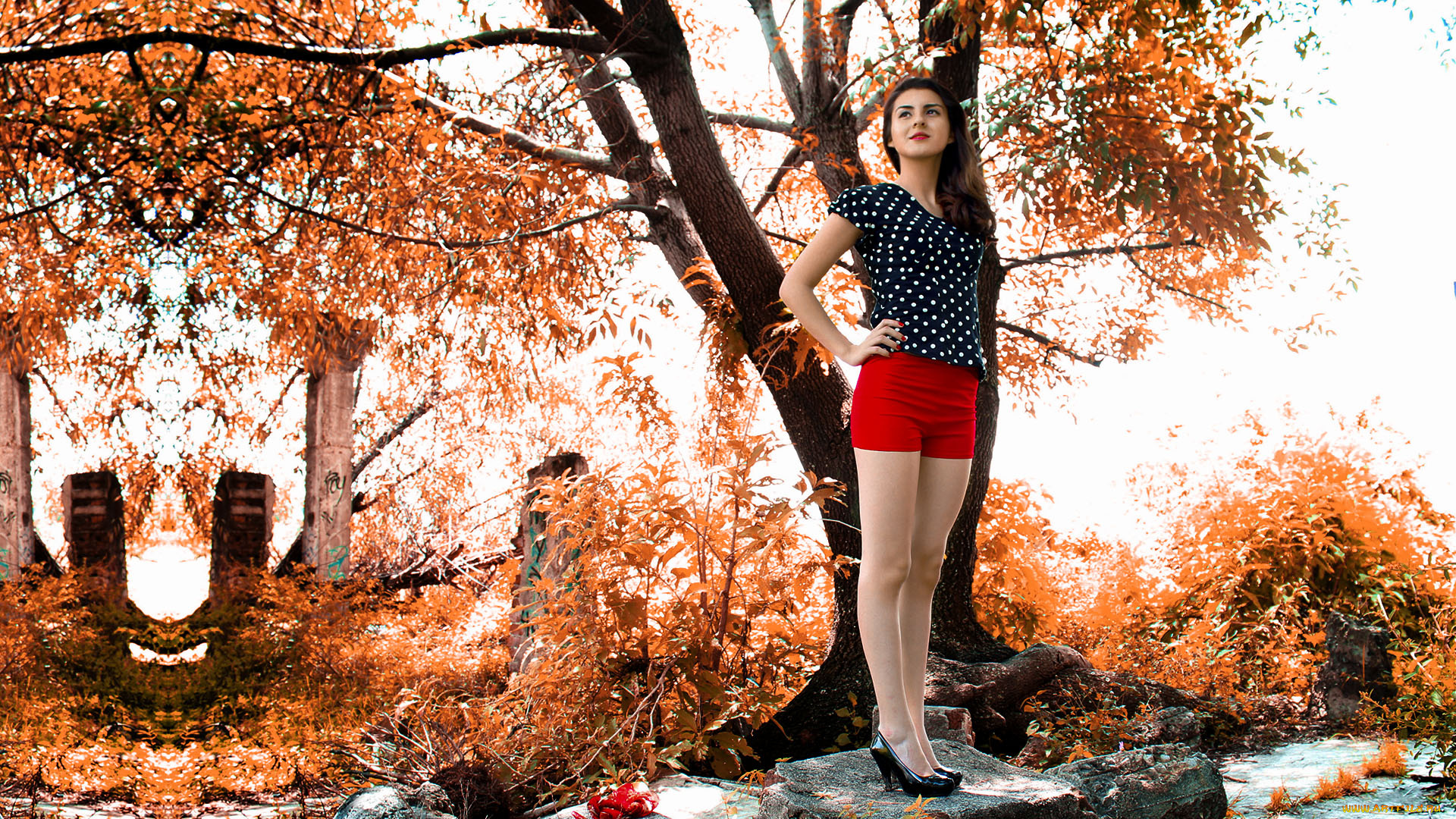 девушка, девушки, -unsort, , брюнетки, темноволосые, модель