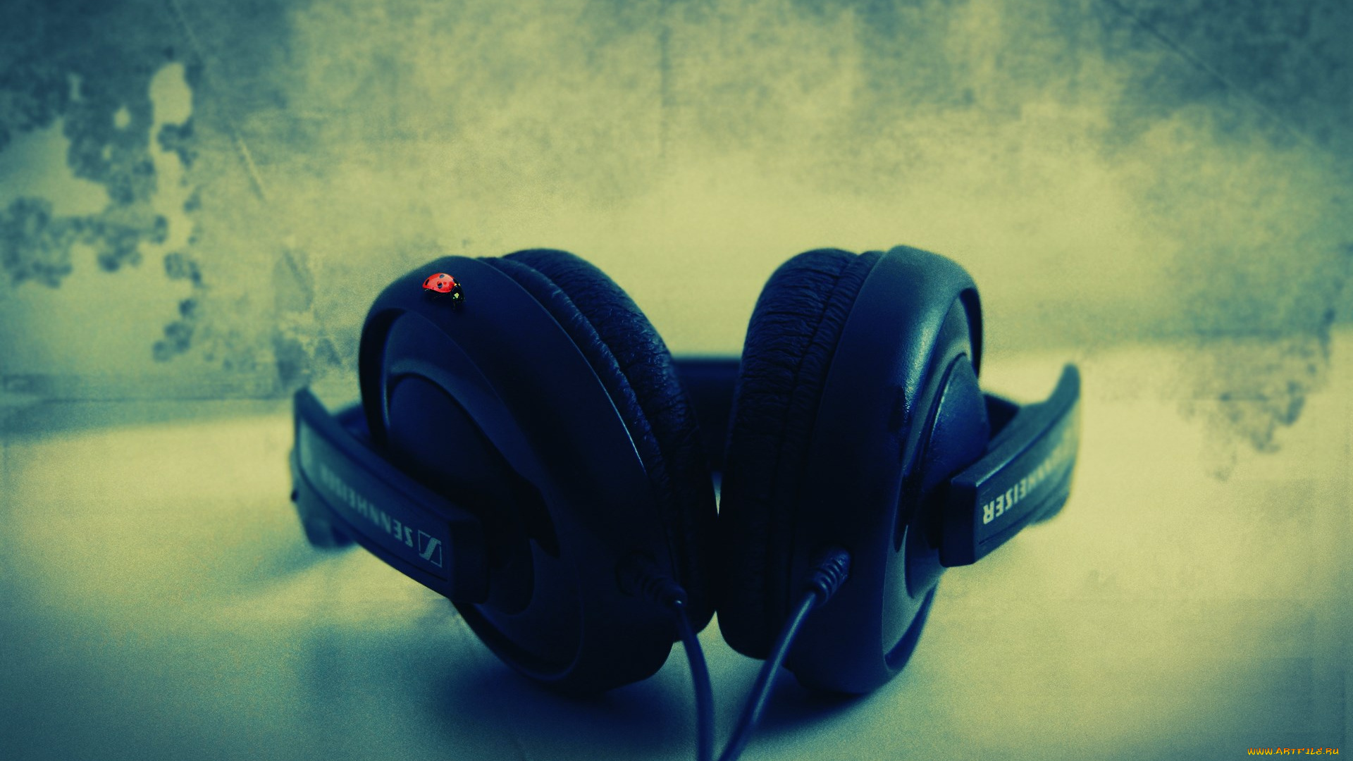 музыка, -другое, наушники