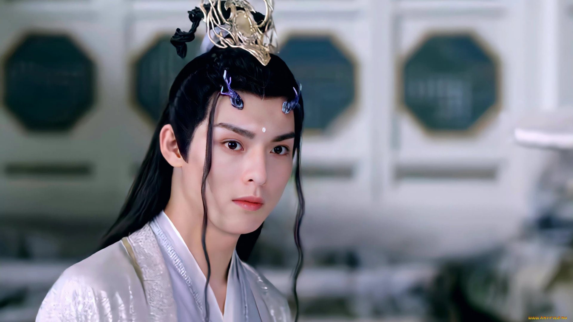 кино, фильмы, immortal, samsara, ван, хао, сюань, вечная, самсара, щепки, агарового, дерева