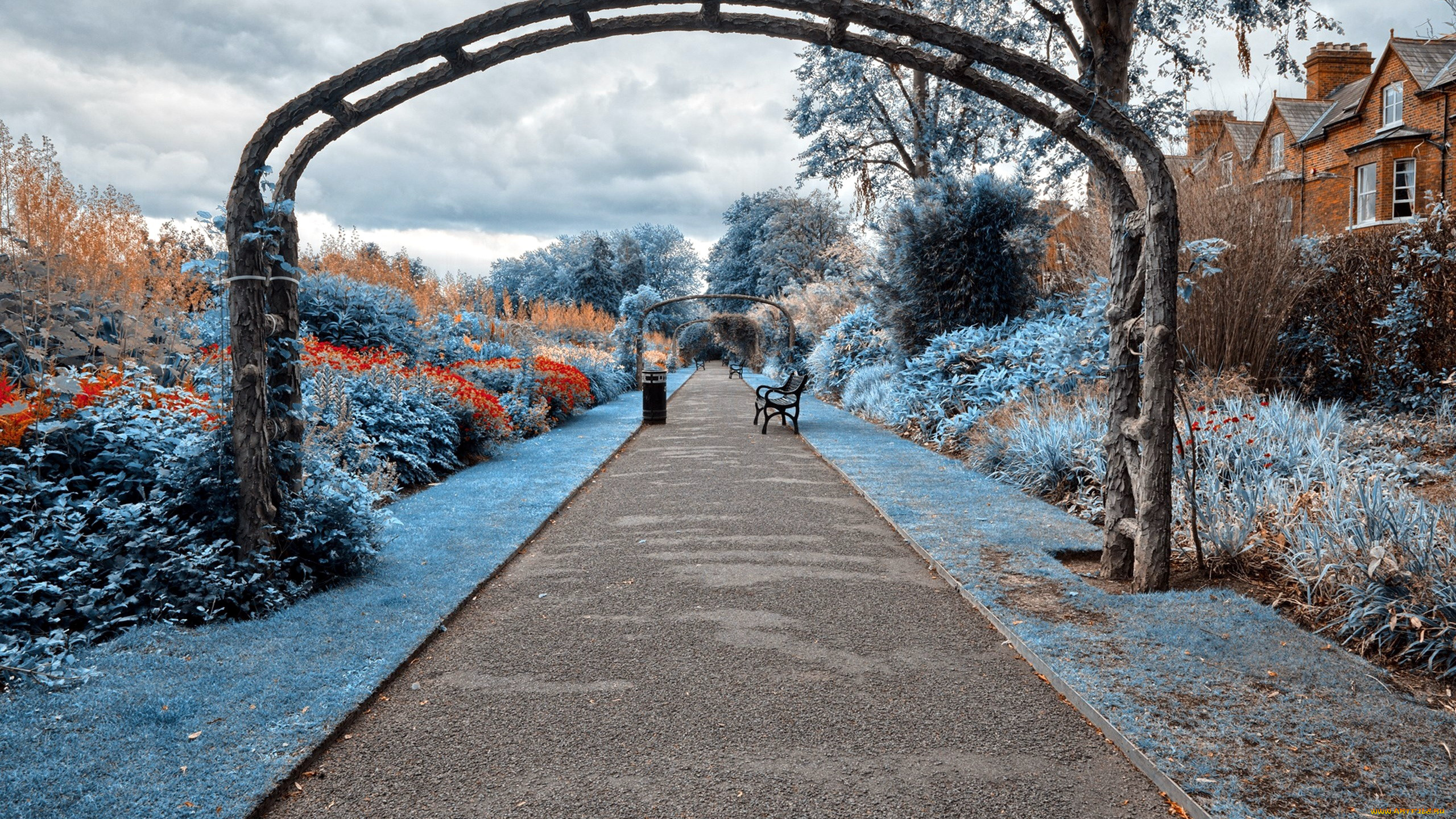 города, -, здания, , дома, аллея, скамейка, осень