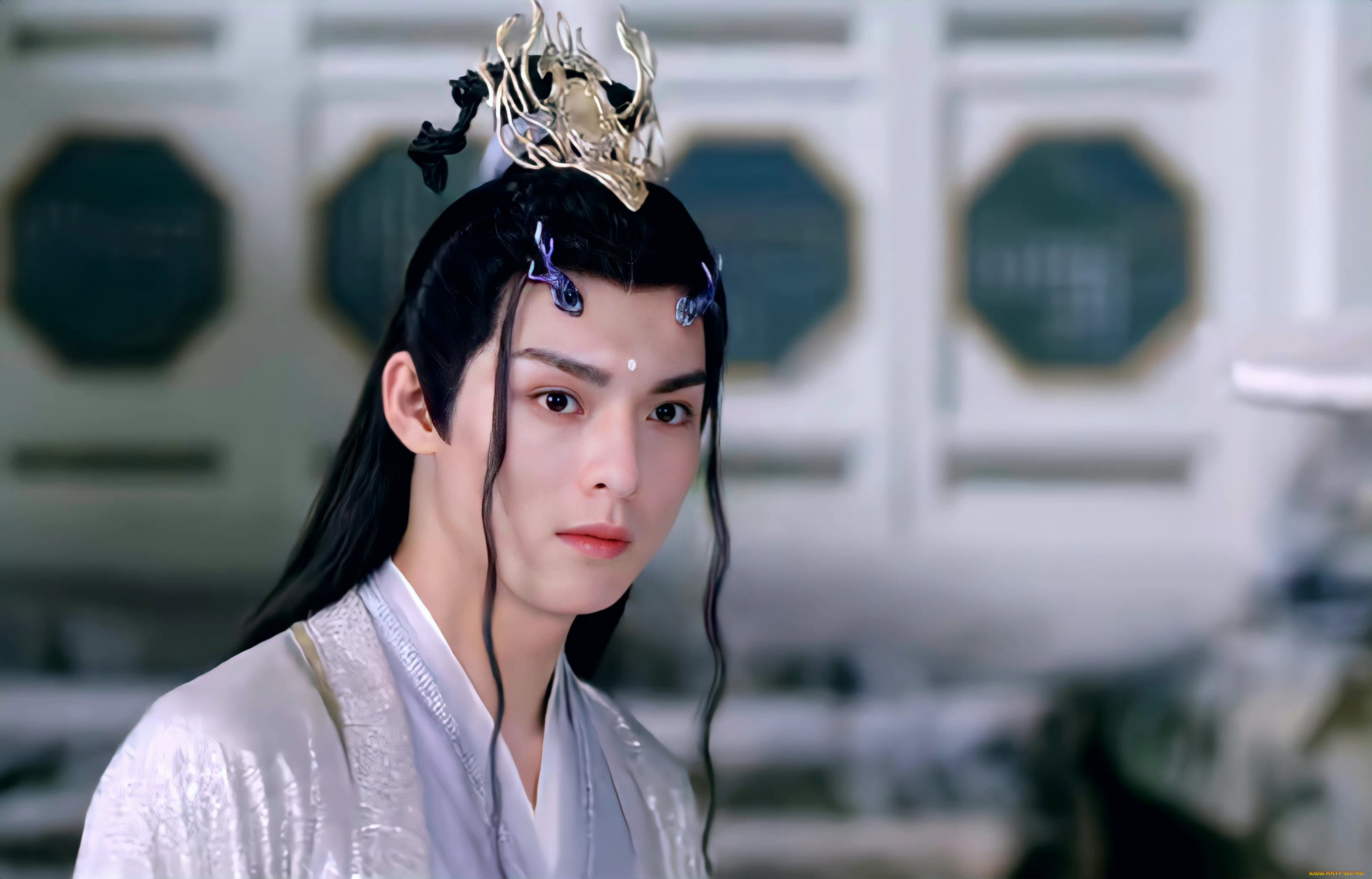 кино, фильмы, immortal, samsara, ван, хао, сюань, вечная, самсара, щепки, агарового, дерева