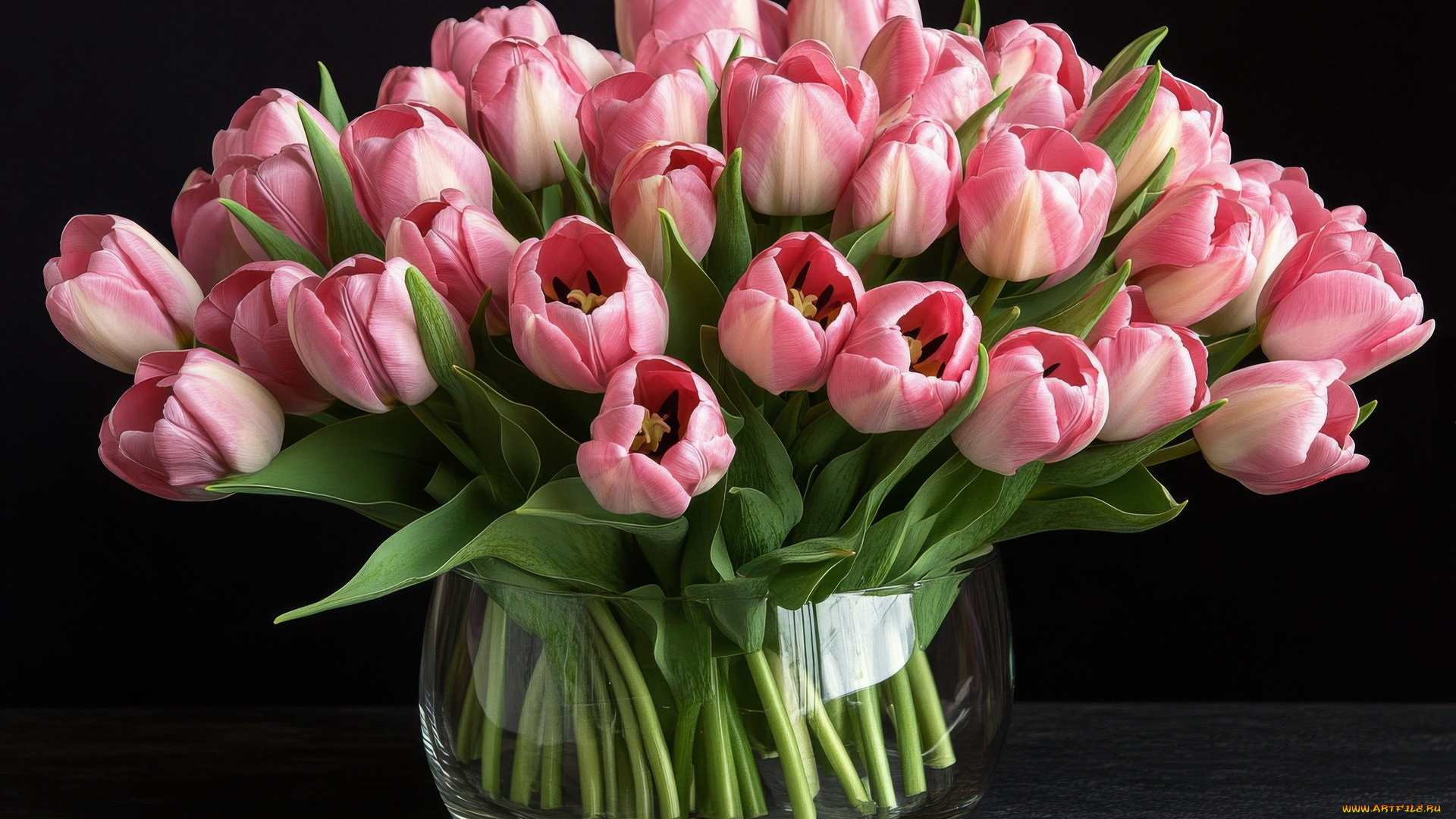 3д, графика, цветы, , flowers, розовые, тюльпаны, бутоны