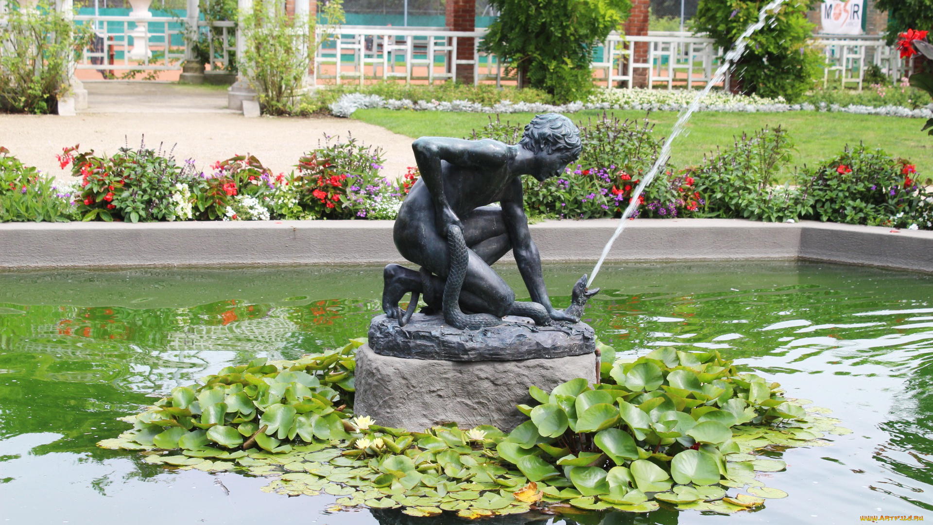 города, -, фонтаны, клумбы, фонтан, водяные, лилии