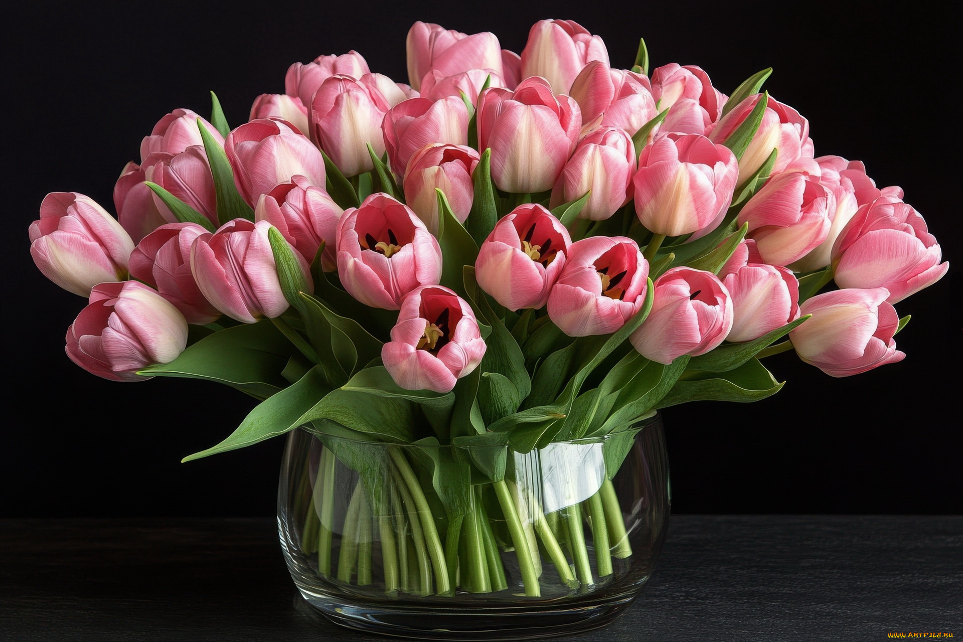 3д, графика, цветы, , flowers, розовые, тюльпаны, бутоны