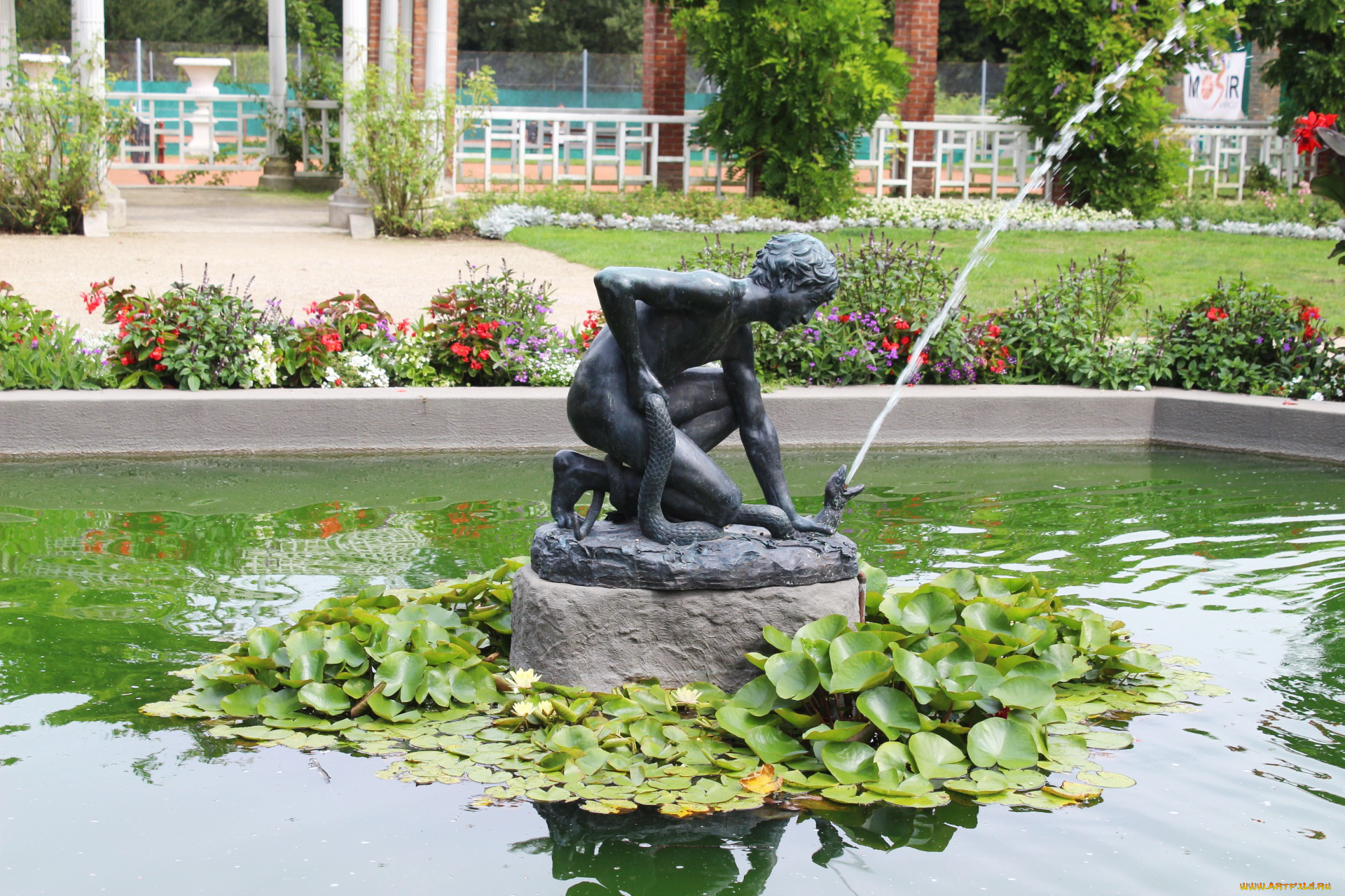 города, -, фонтаны, клумбы, фонтан, водяные, лилии