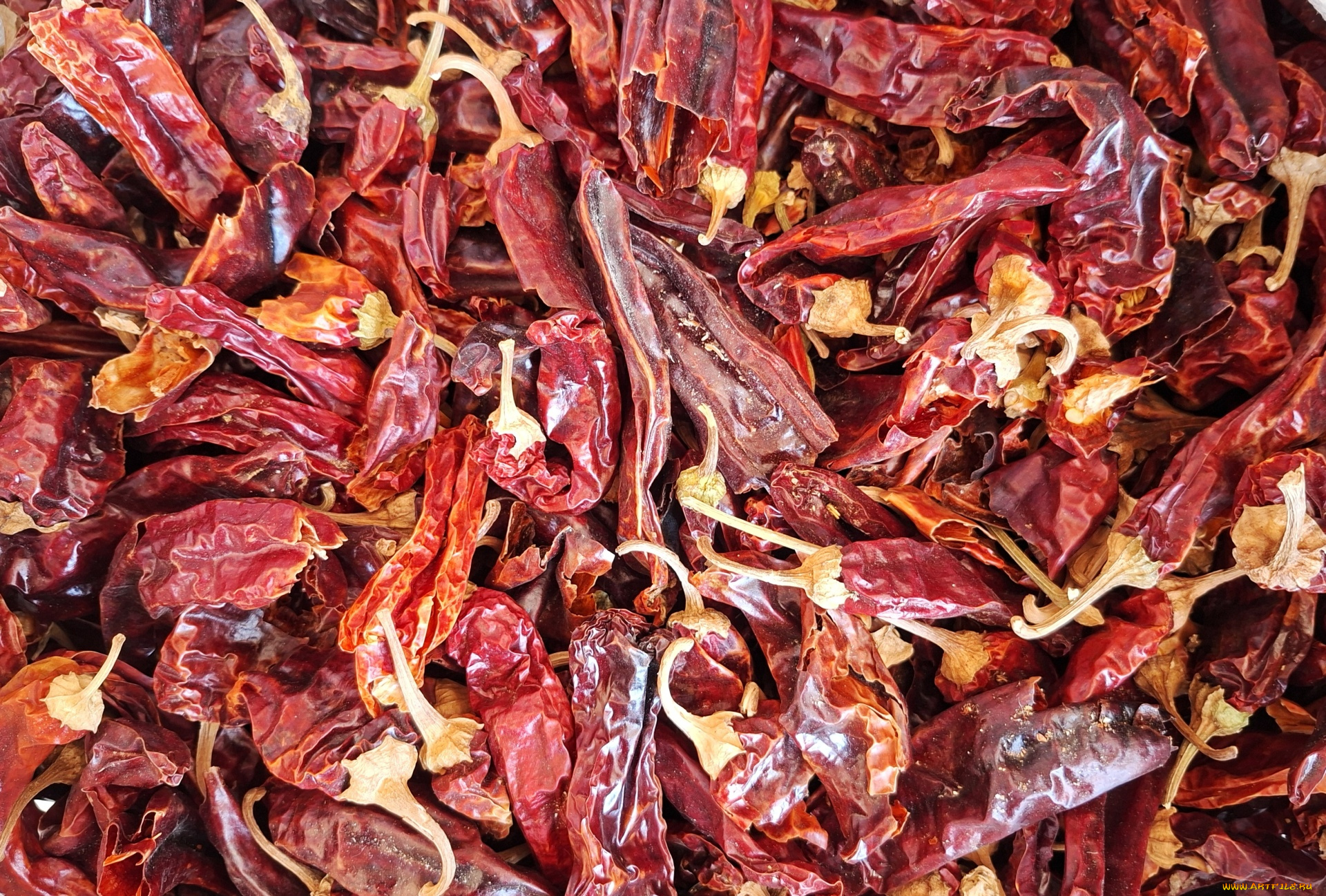 еда, перец, сушеный, острый, красный