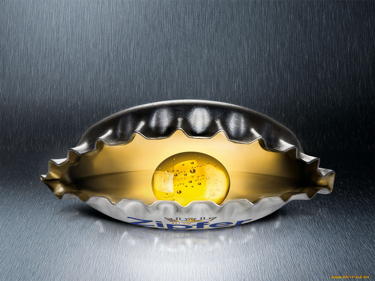 бренды, zipfer