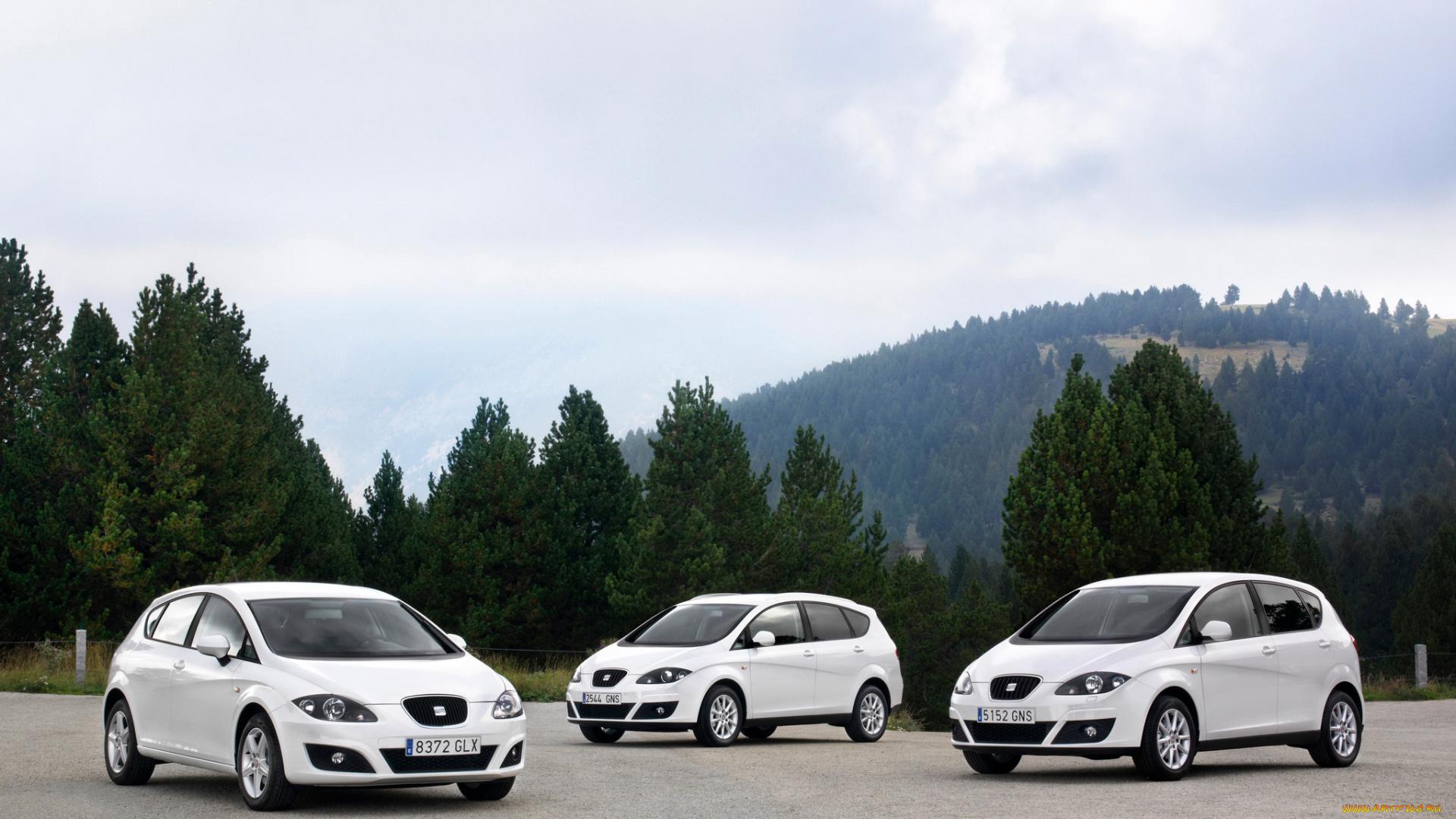 автомобили, seat