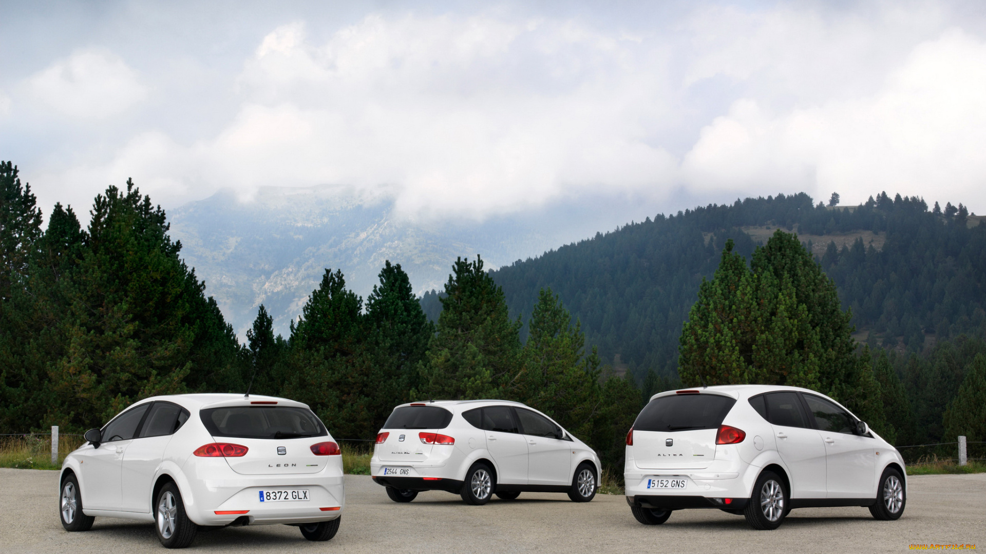 автомобили, seat