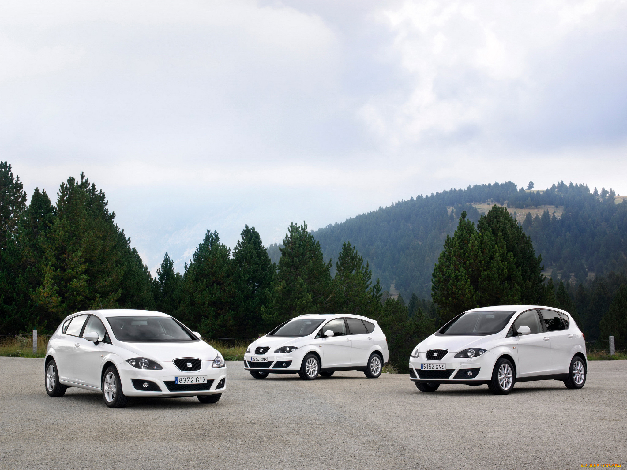 автомобили, seat