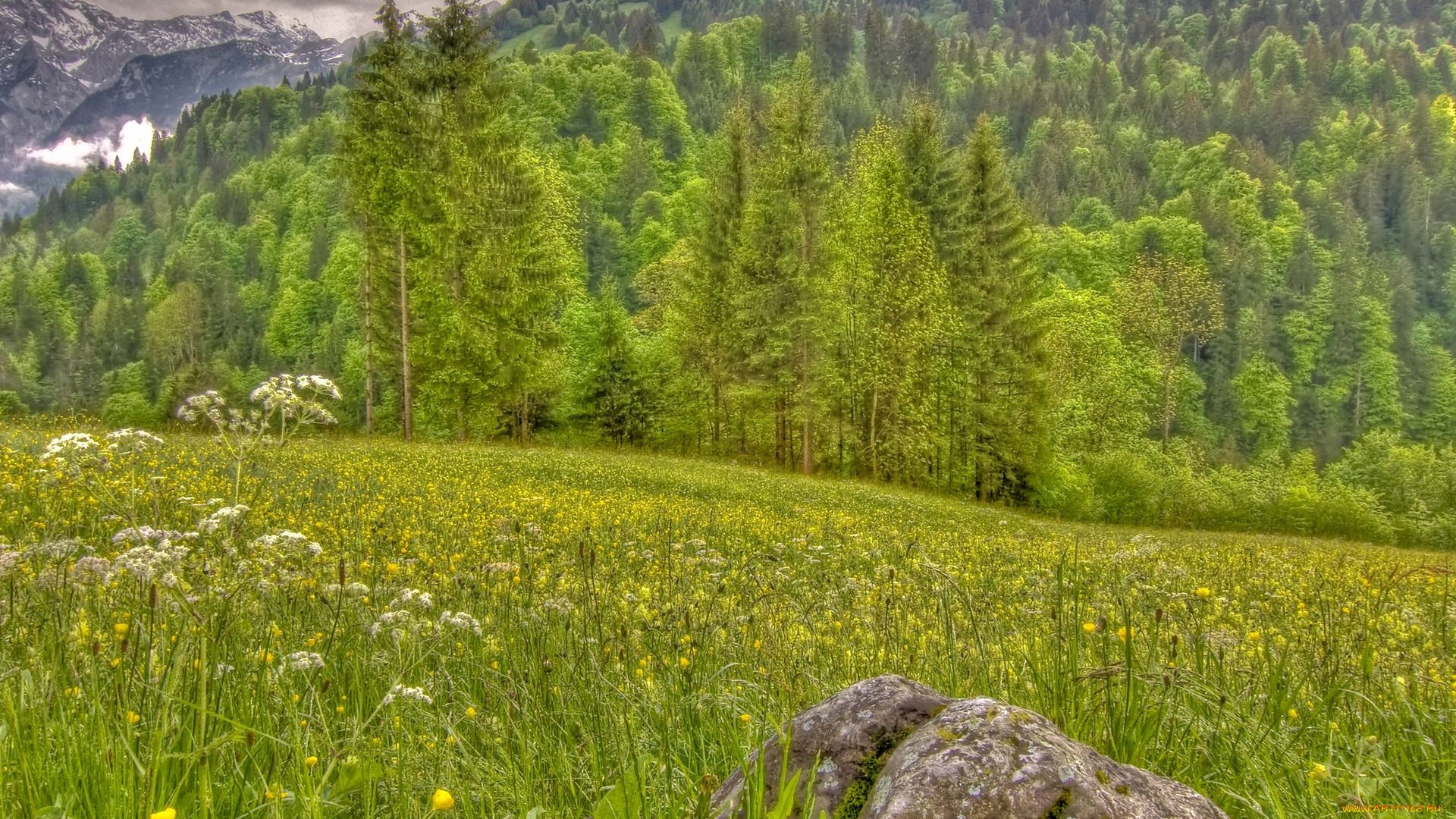 природа, лес, камень, горы, луг, деревья, пейзаж