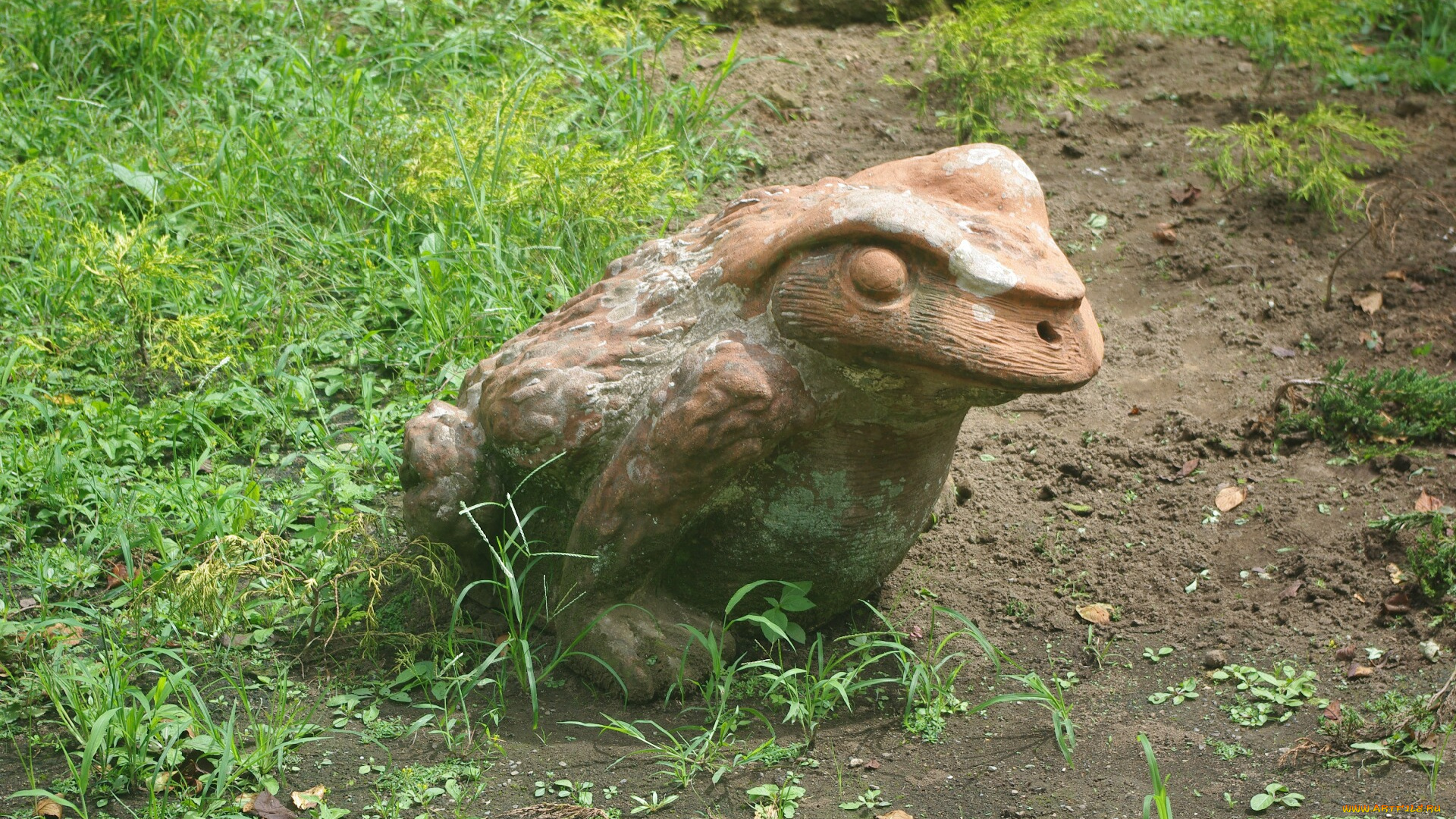 разное, рельефы, статуи, музейные, экспонаты, лягушка, трава