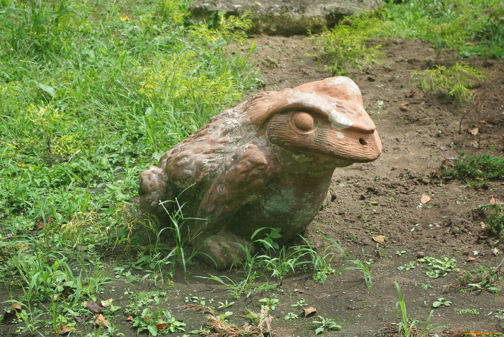 разное, рельефы, статуи, музейные, экспонаты, лягушка, трава