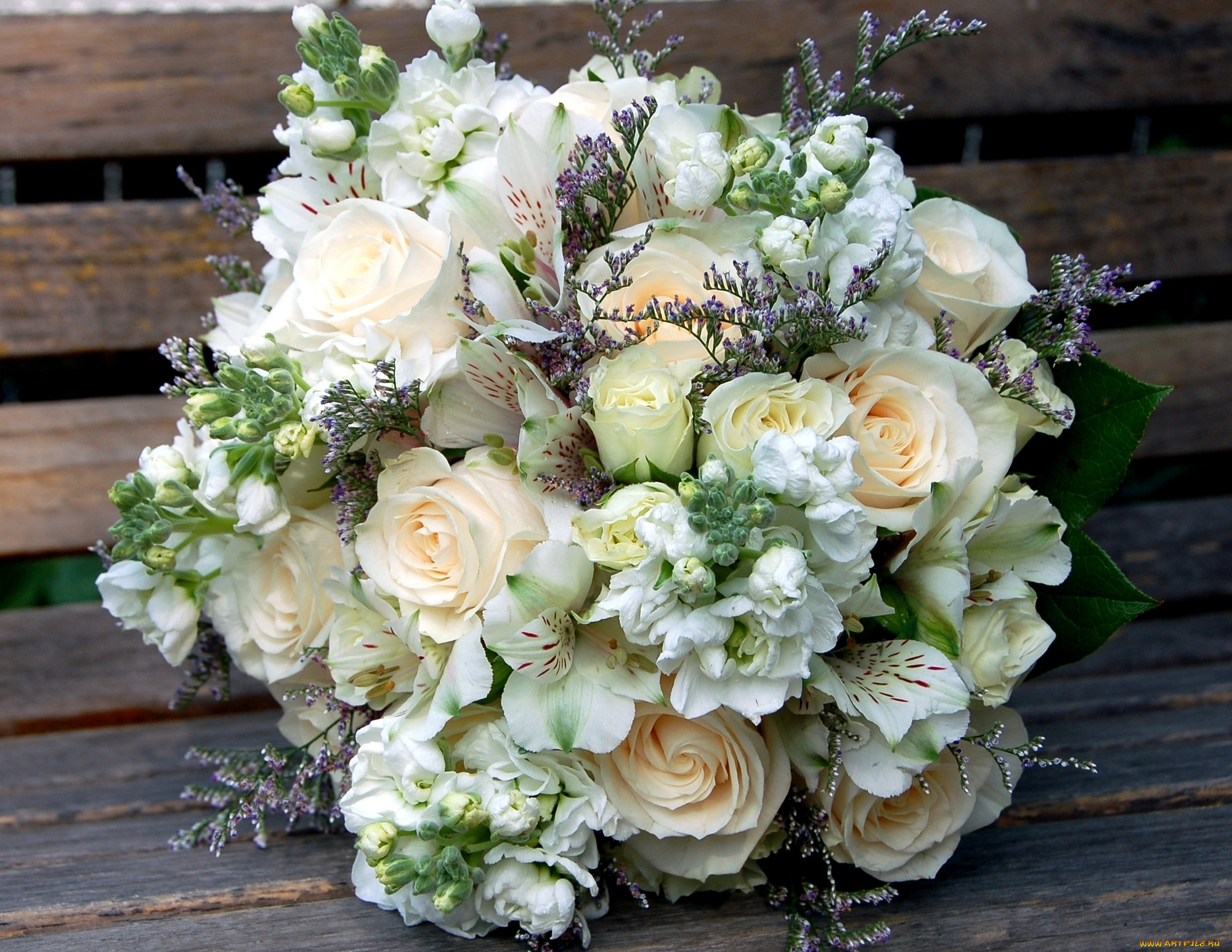 цветы, букеты, композиции, белый, розы