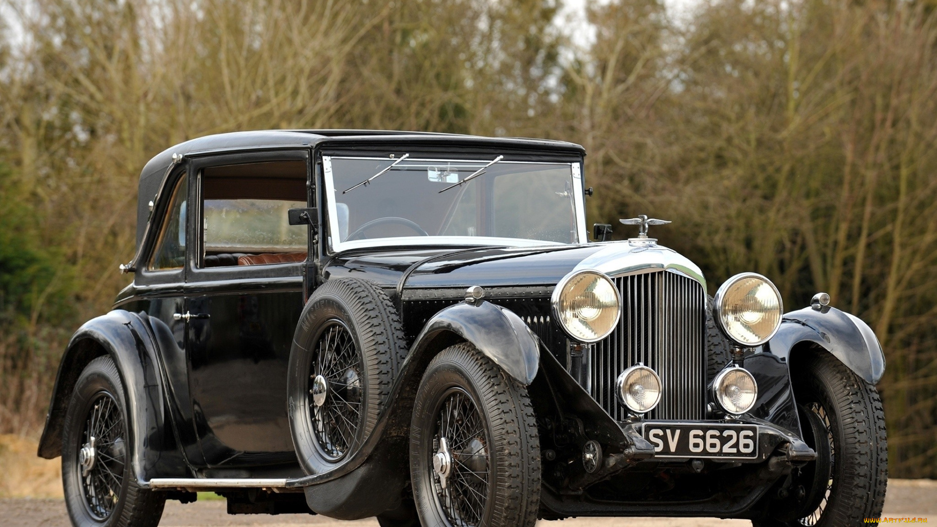 автомобили, классика, деревья, дорога, автомобиль