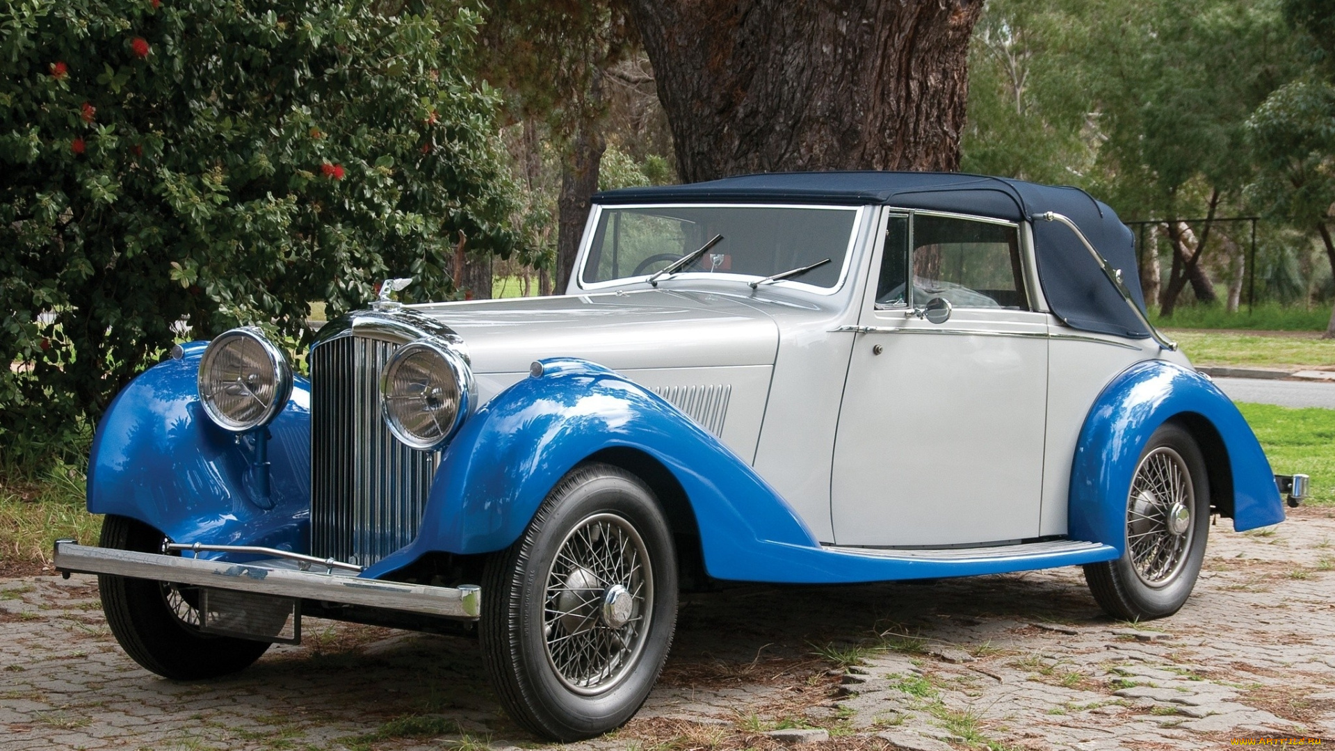 автомобили, классика, дорога, автомобиль, деревья, трава