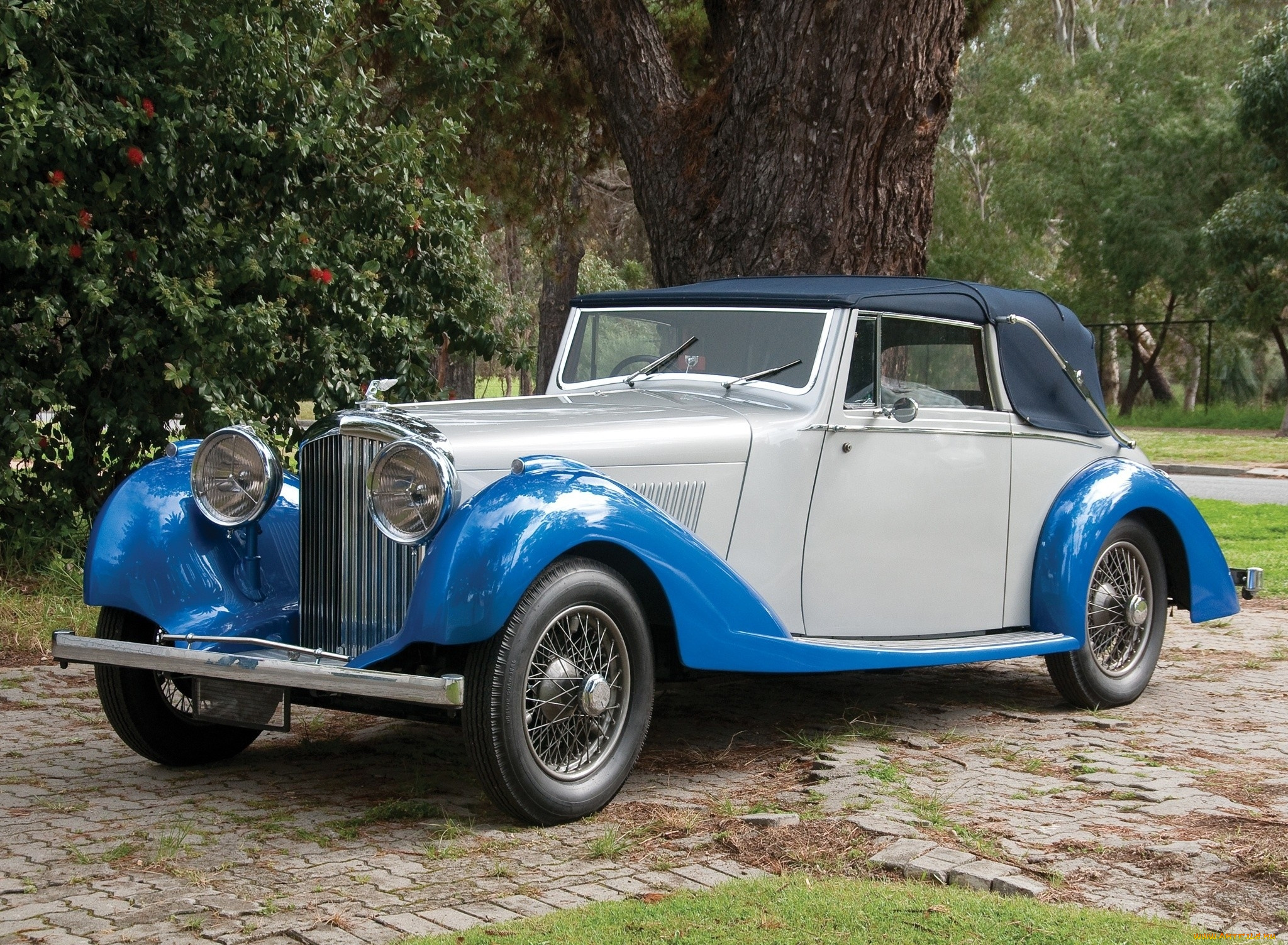 автомобили, классика, дорога, автомобиль, деревья, трава