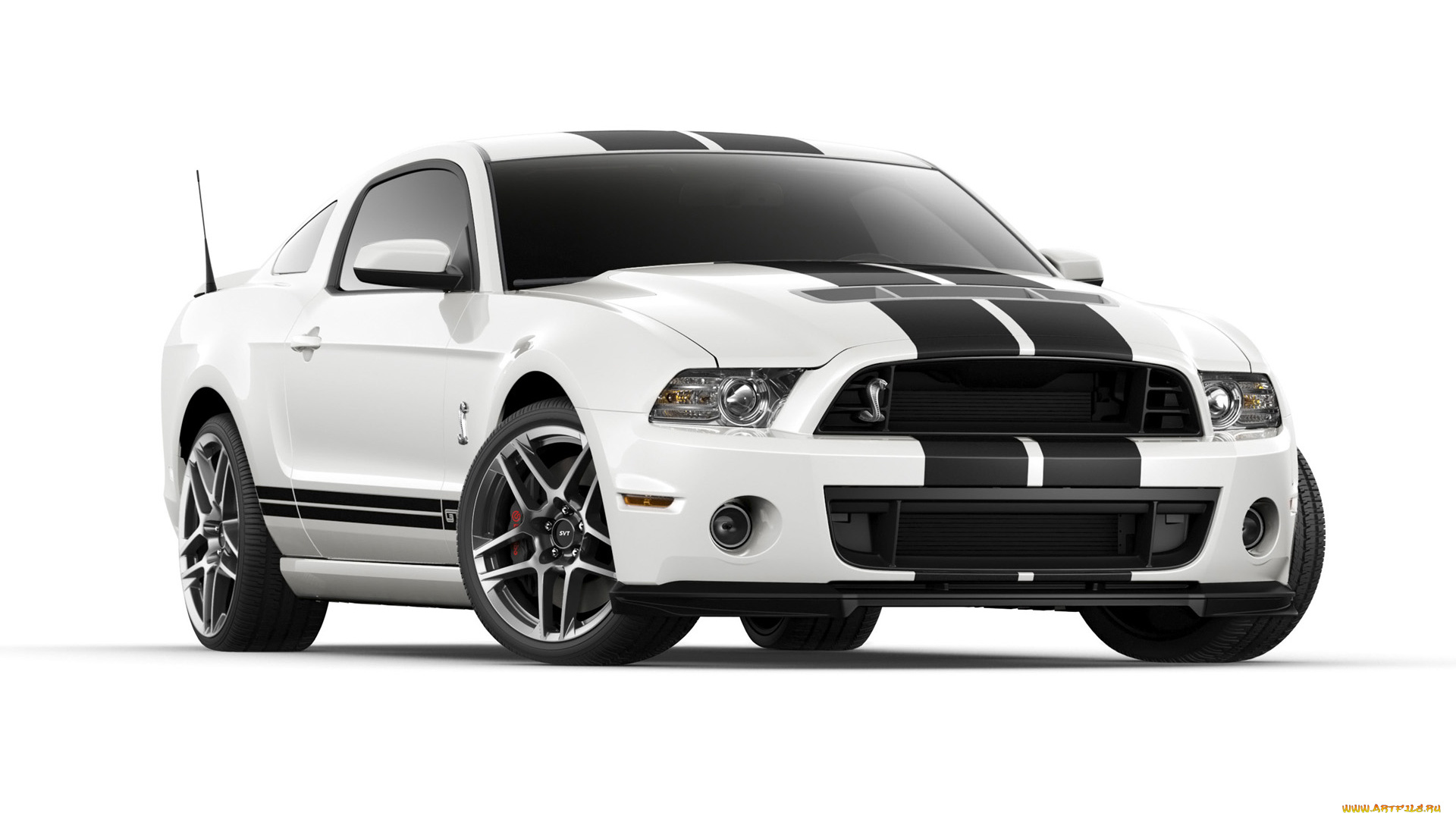 автомобили, mustang, ford, shelby, gt500