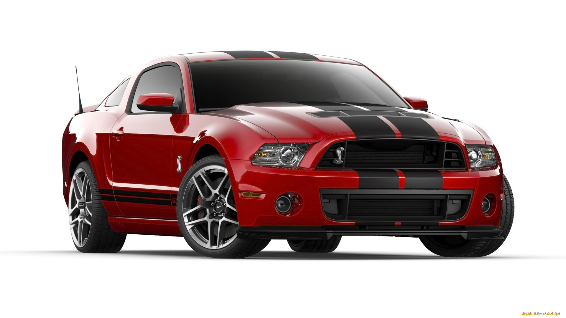 автомобили, mustang, ford, shelby, gt500
