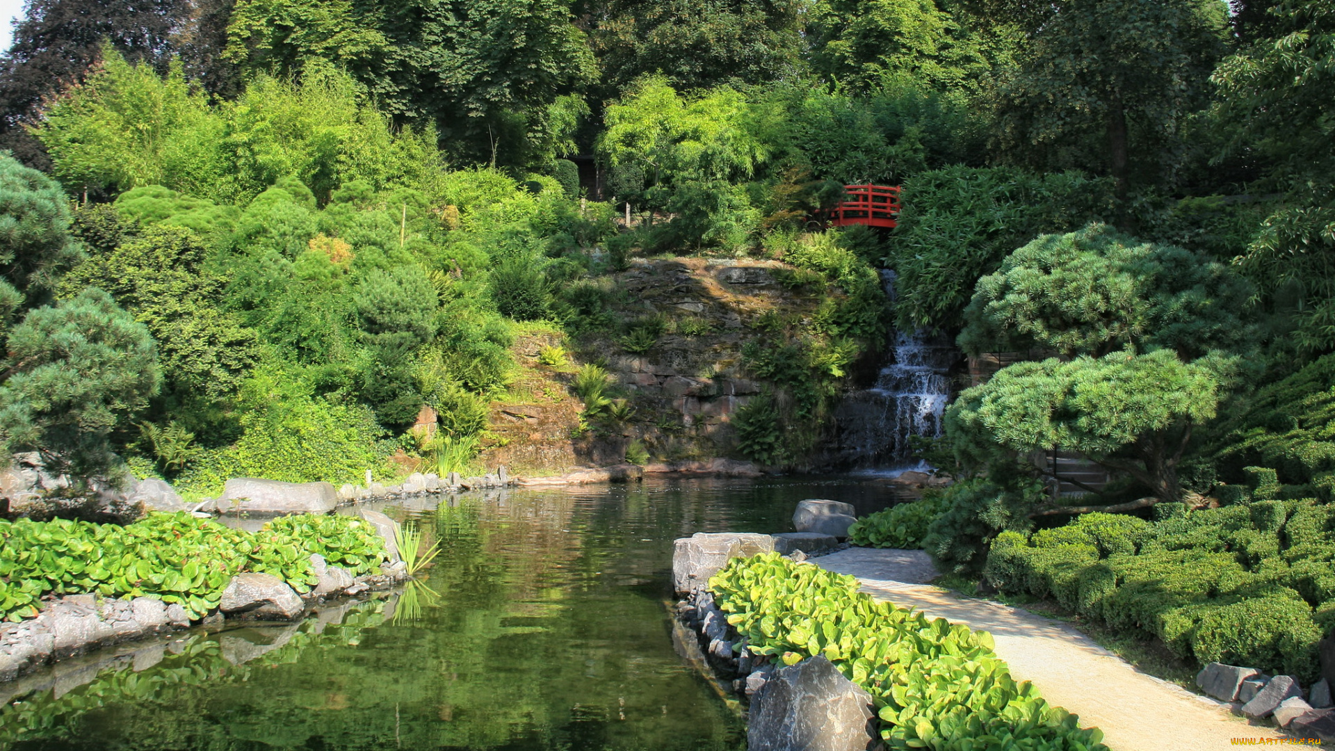 германия, кайзерслаутерн, японский, сад, природа, парк, растения, деревья, пруд