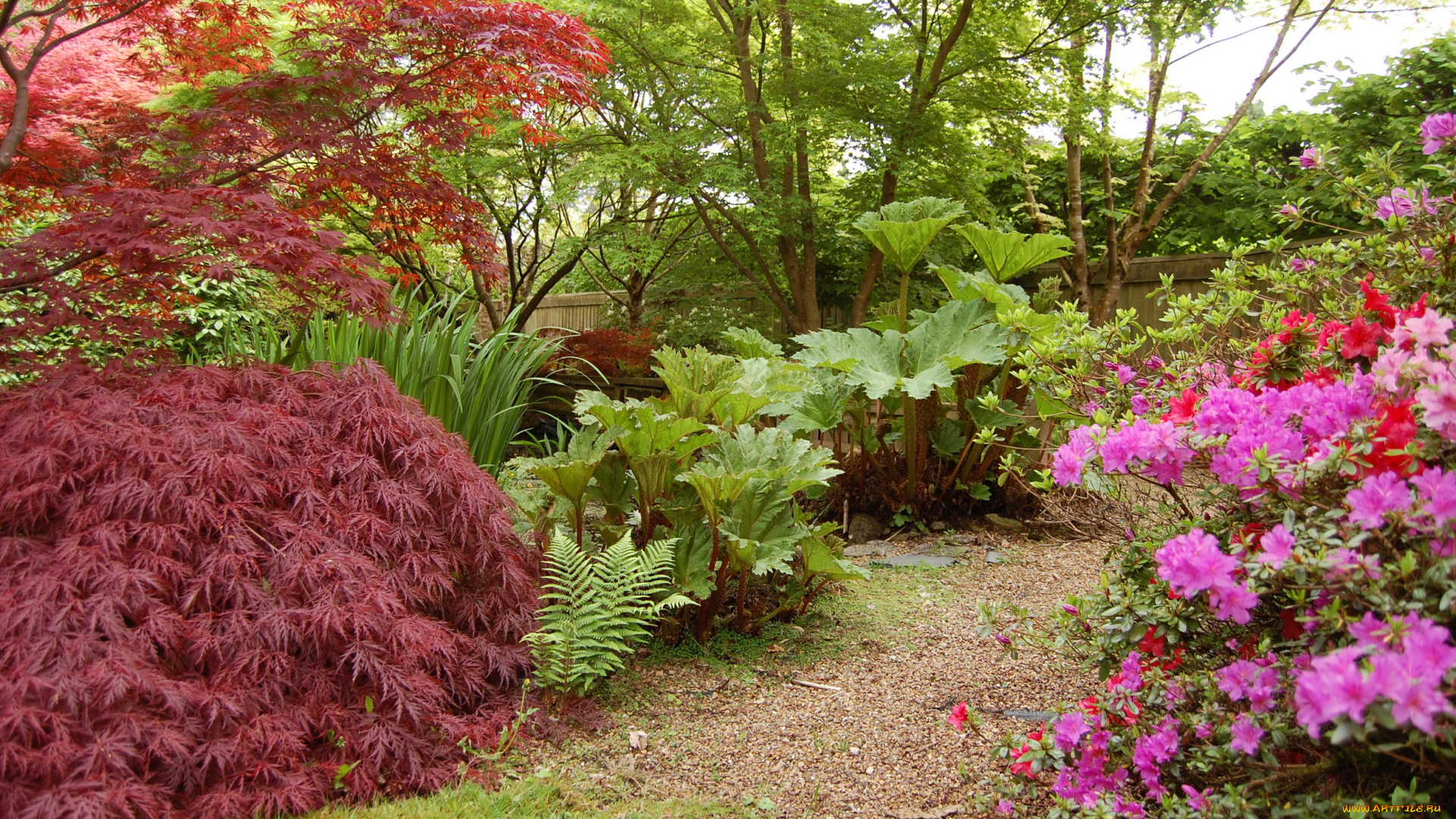 maresfield, park, england, природа, парк, деревья, кусты