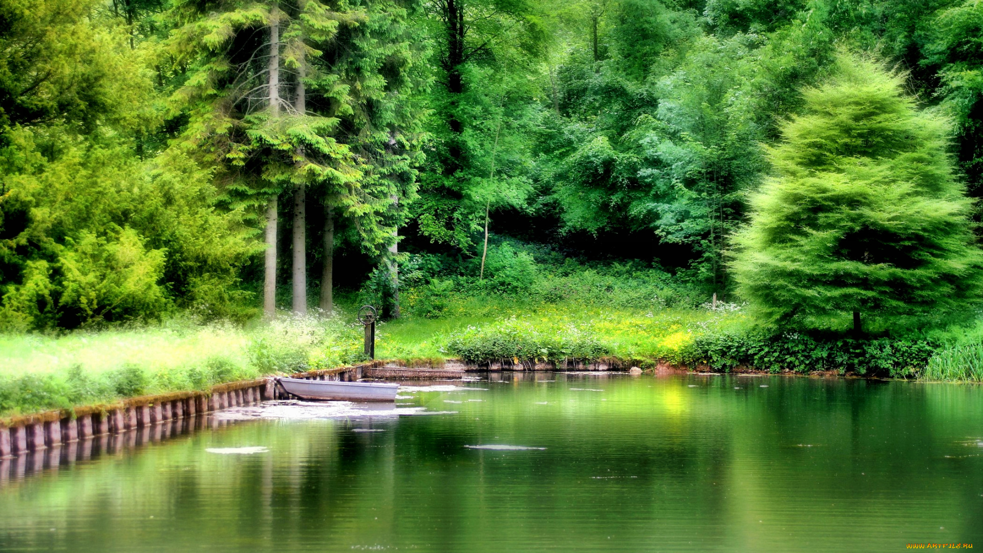 природа, реки, озера, лес, озеро, лодка, лето, зелень