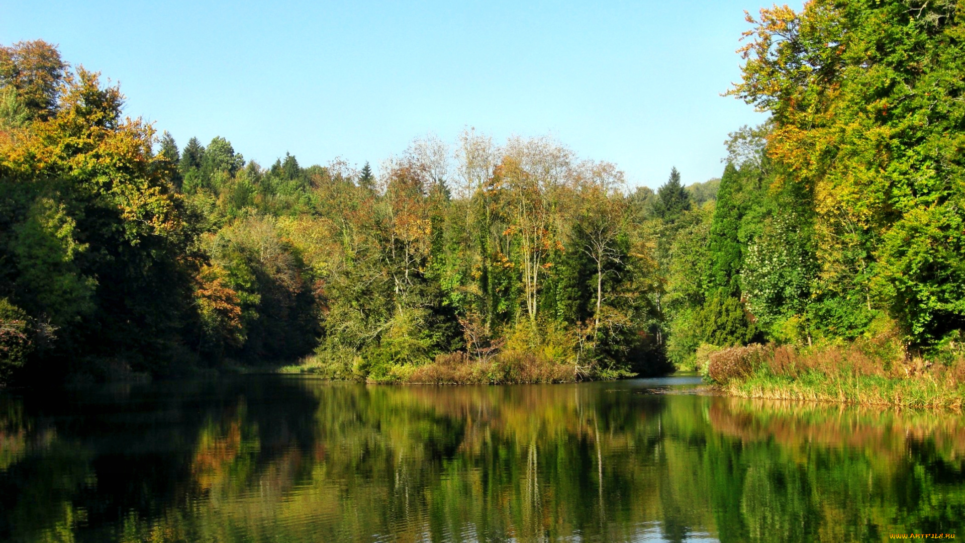 природа, реки, озера, лес, озеро, покой
