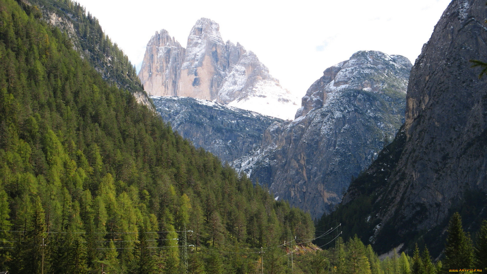 south, tyrol, italy, природа, горы, ели