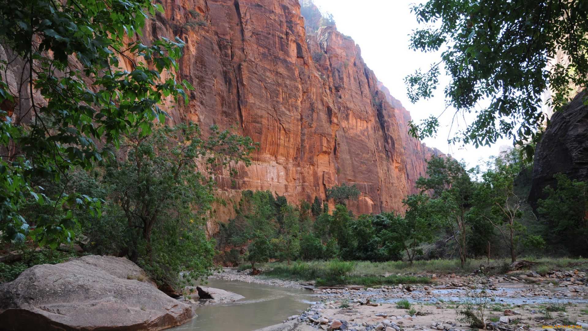 zion, national, park, utah, природа, горы, дорога, лес