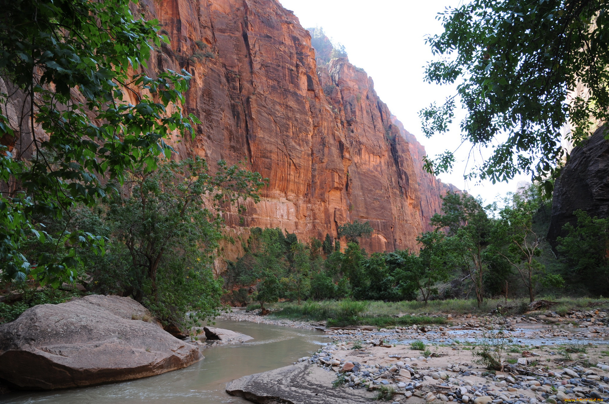 zion, national, park, utah, природа, горы, дорога, лес