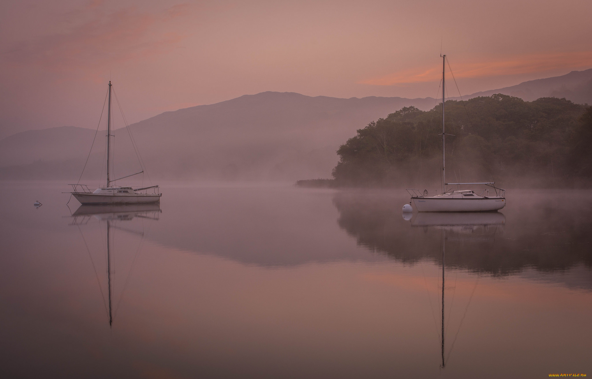 корабли, парусники, деревья, горы, море, туман
