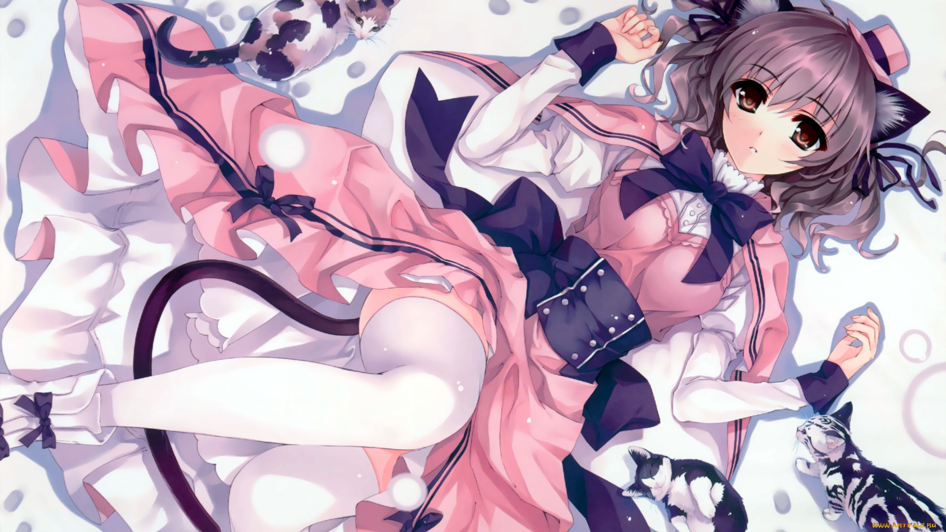 аниме, kurehito, misaki, , artbook, коты, девушка, арт, misaki, kurehito