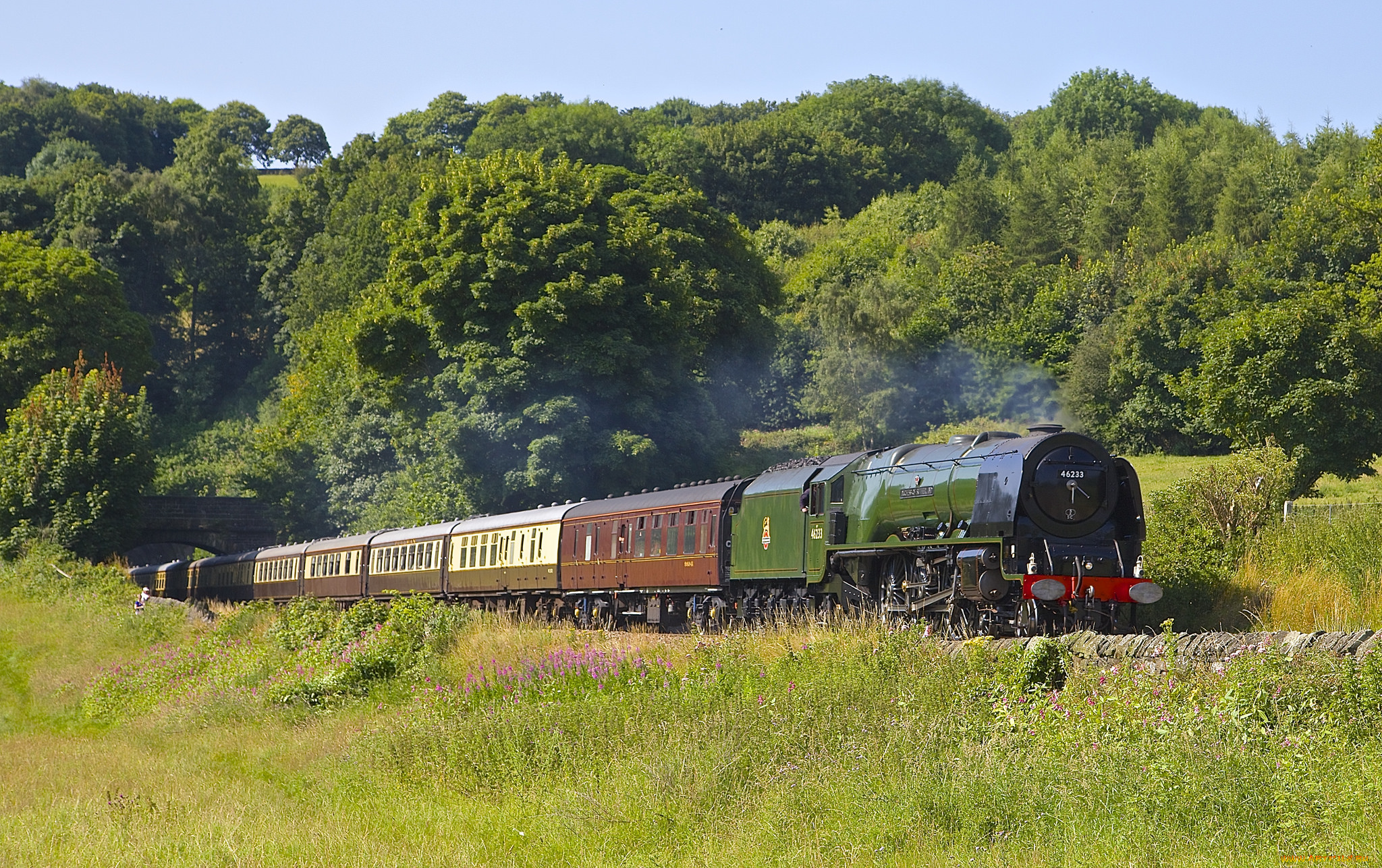 техника, паровозы, паровоз, рельсы, железная, дорога