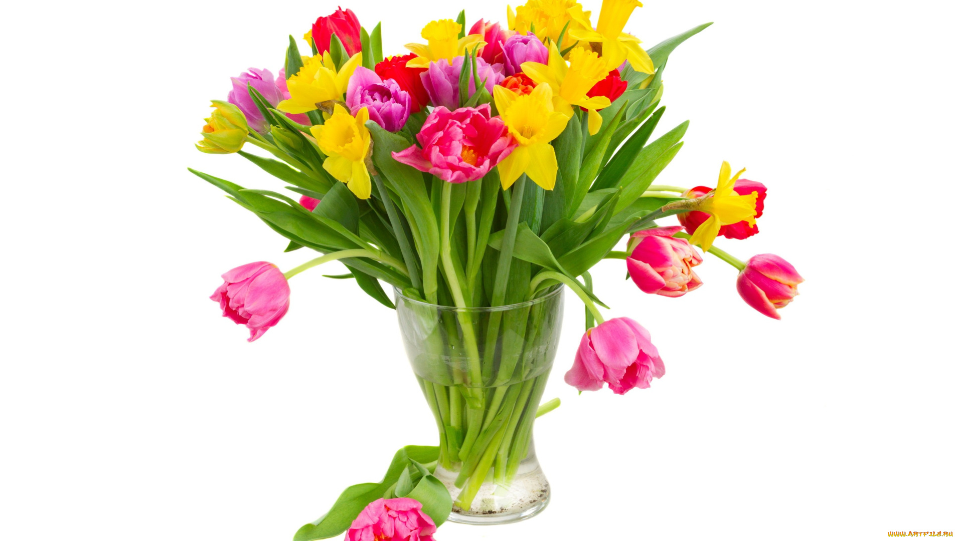 цветы, букеты, , композиции, bouquet, colorful, flowers, tulips, тюльпаны