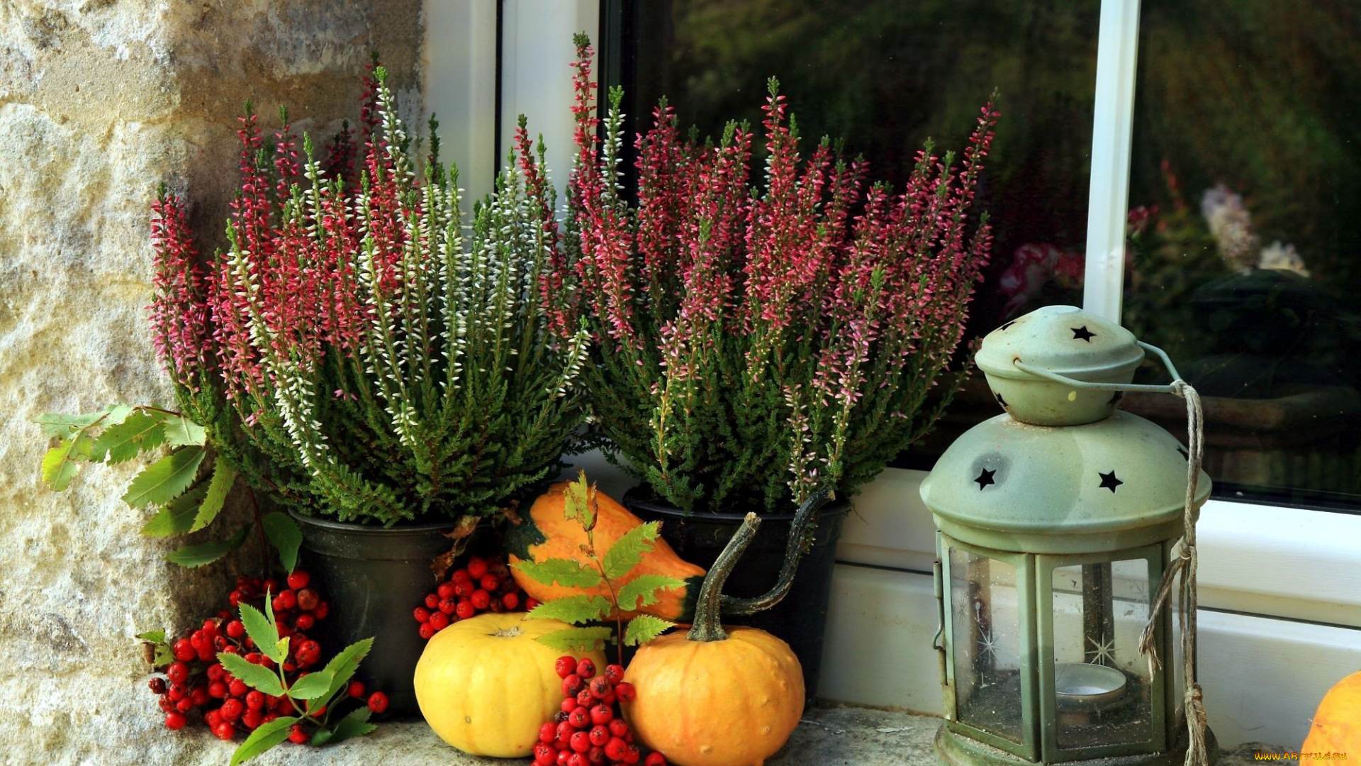 еда, натюрморт, тыква, рябина, вереск, фонарь
